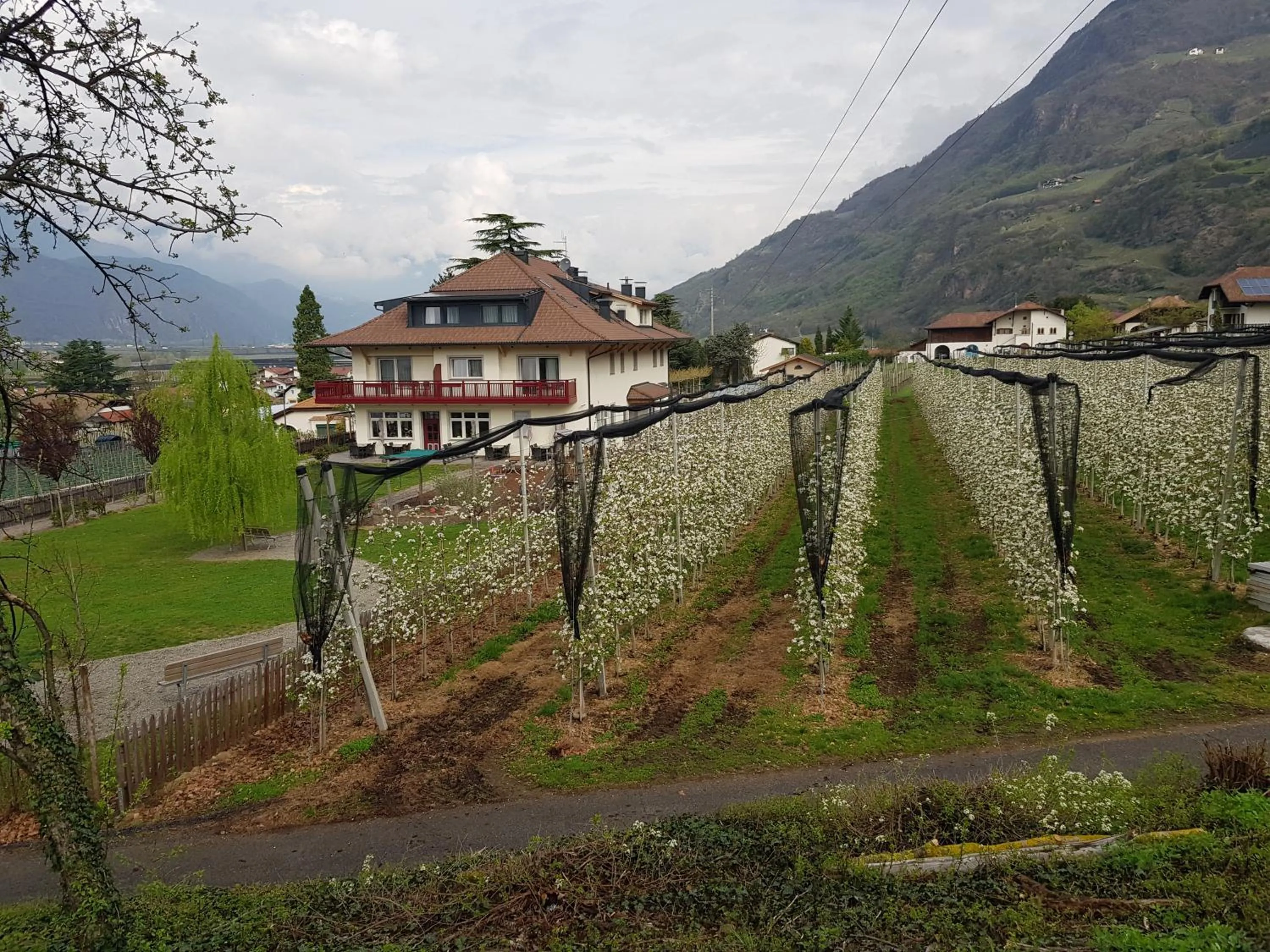 Garden view in Residence Egger