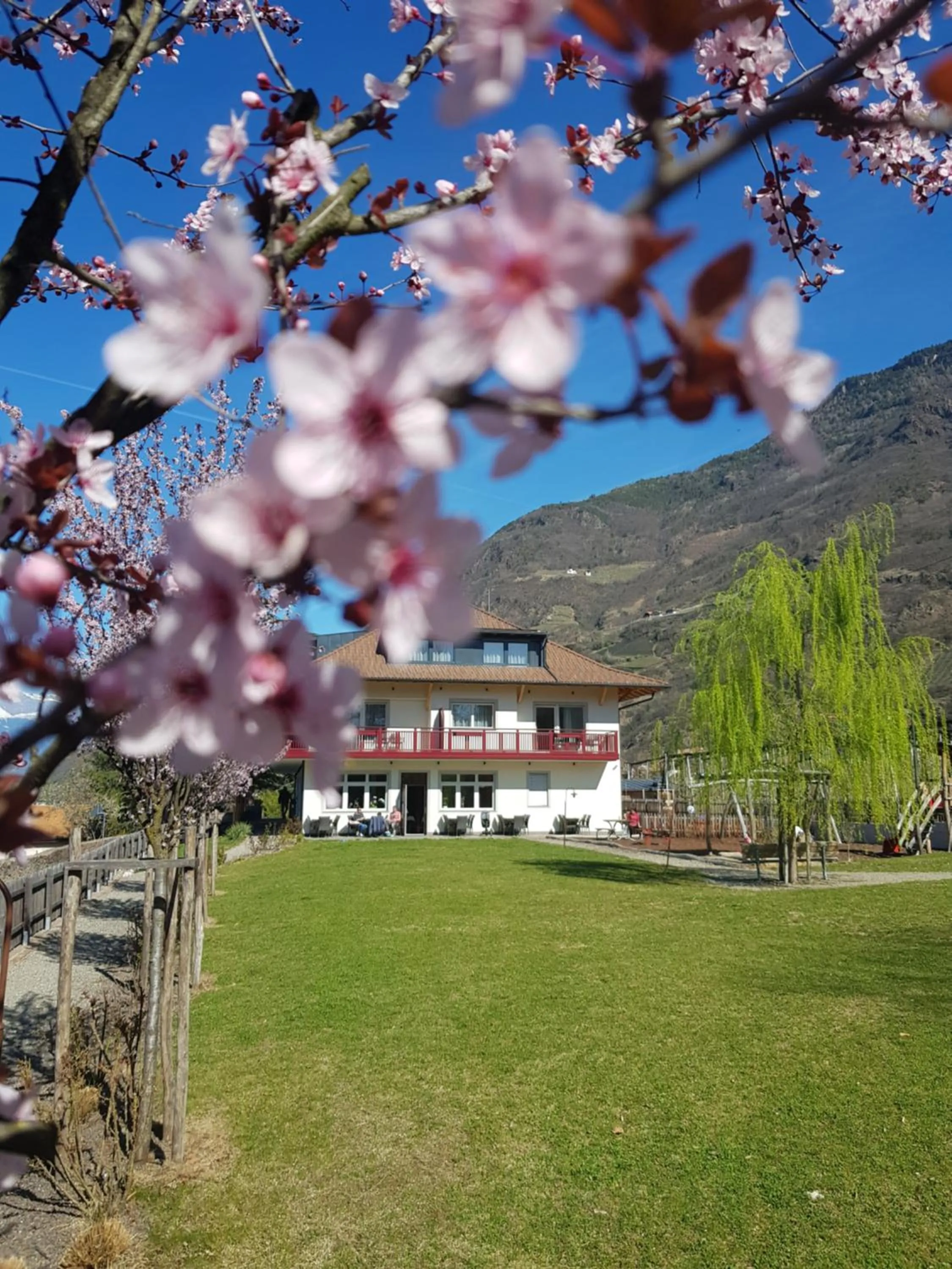 Property building in Residence Egger