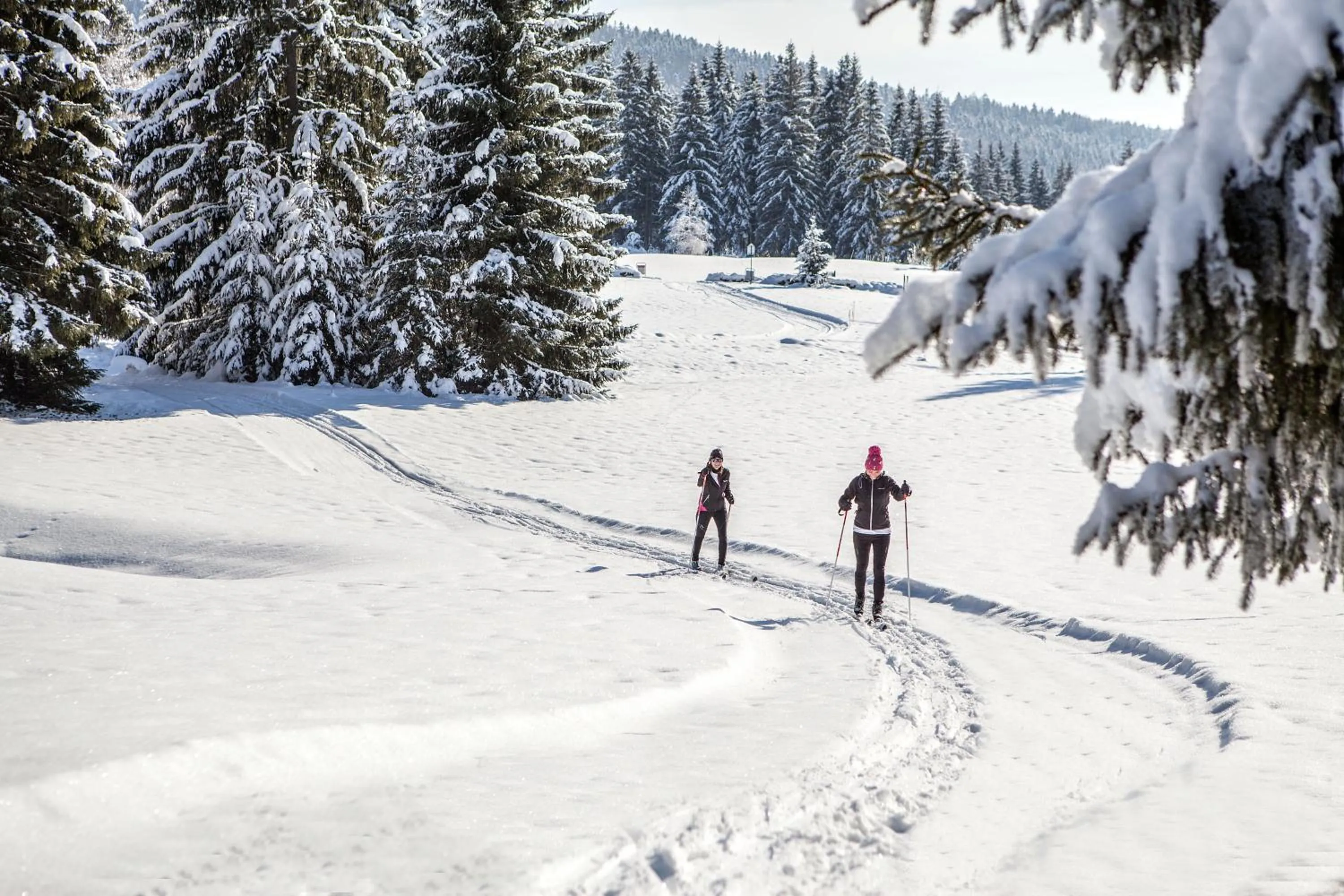 Natural landscape in Hotel Stupka
