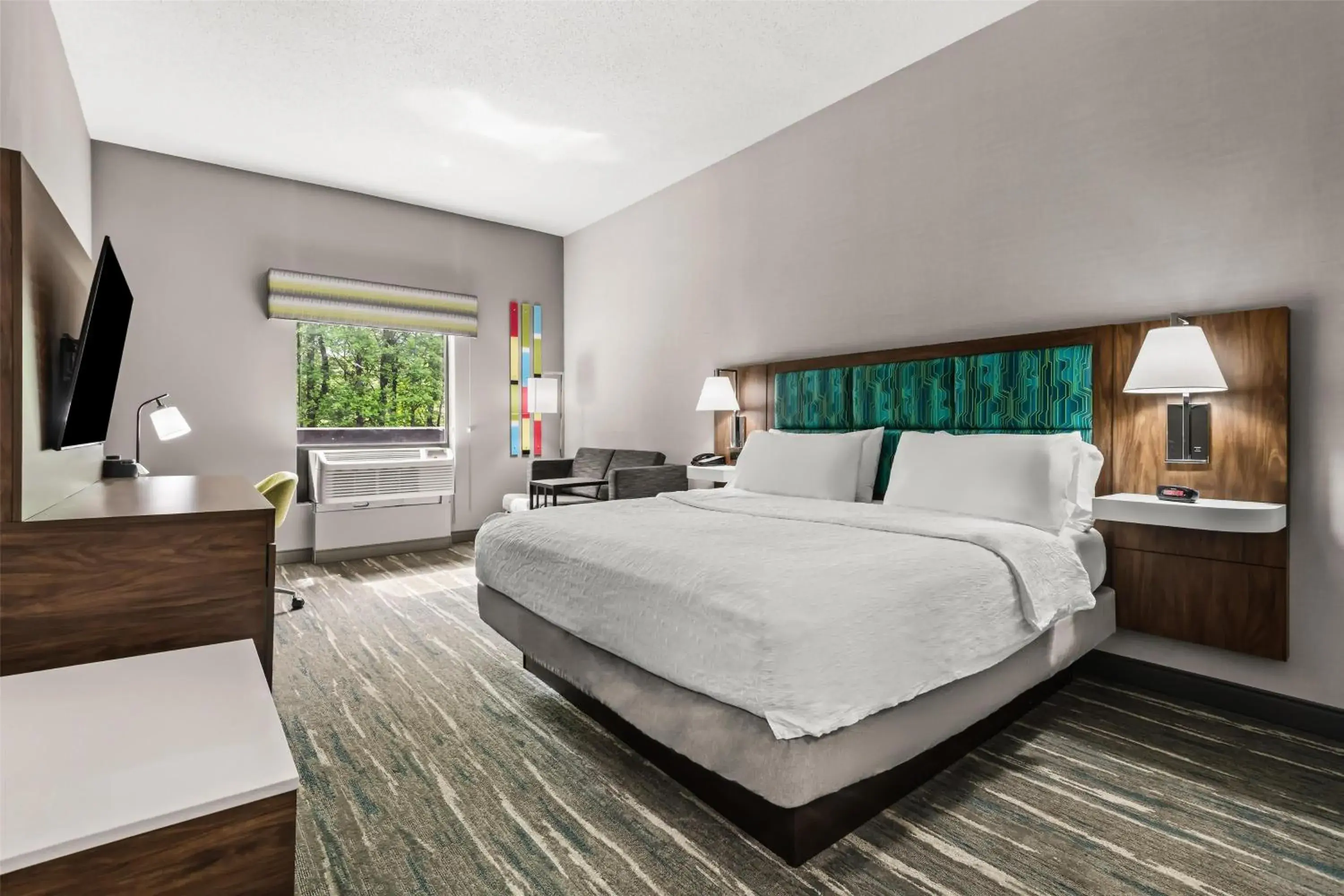 King Room with King Bed - Non-Smoking in Hampton Inn Elkton King Room with King Bed - Non-Smoking in Hampton Inn Elkton