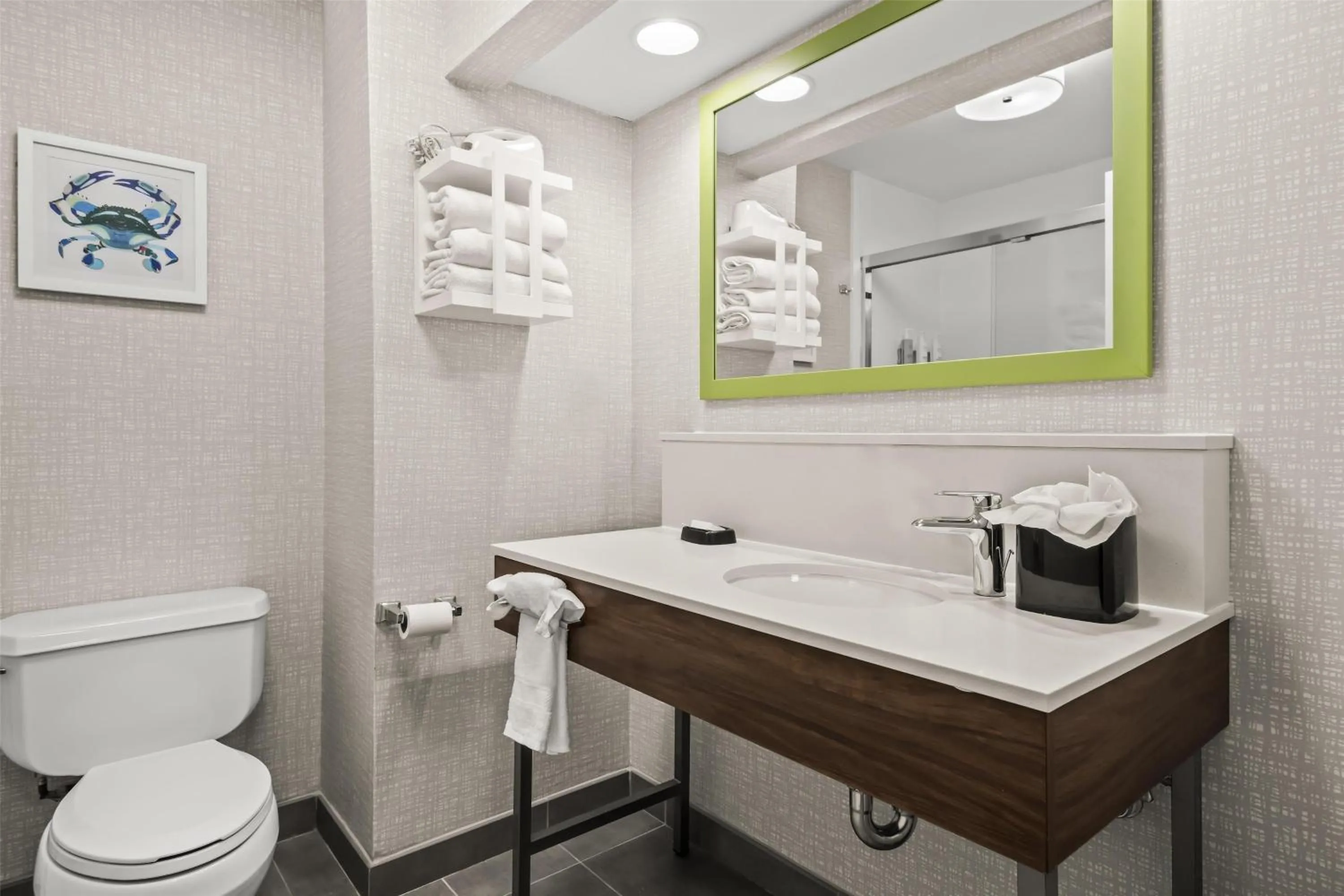 Bathroom in Hampton Inn Elkton