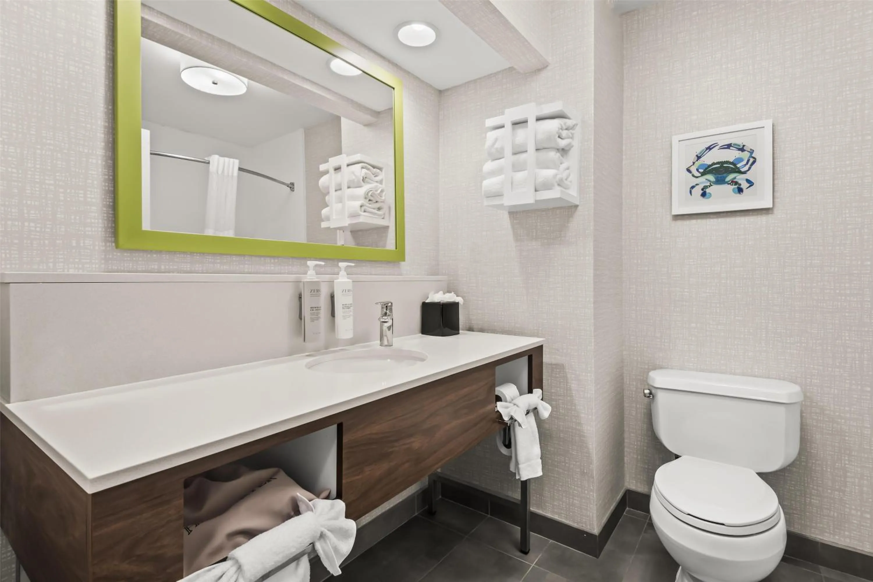 Bathroom in Hampton Inn Elkton