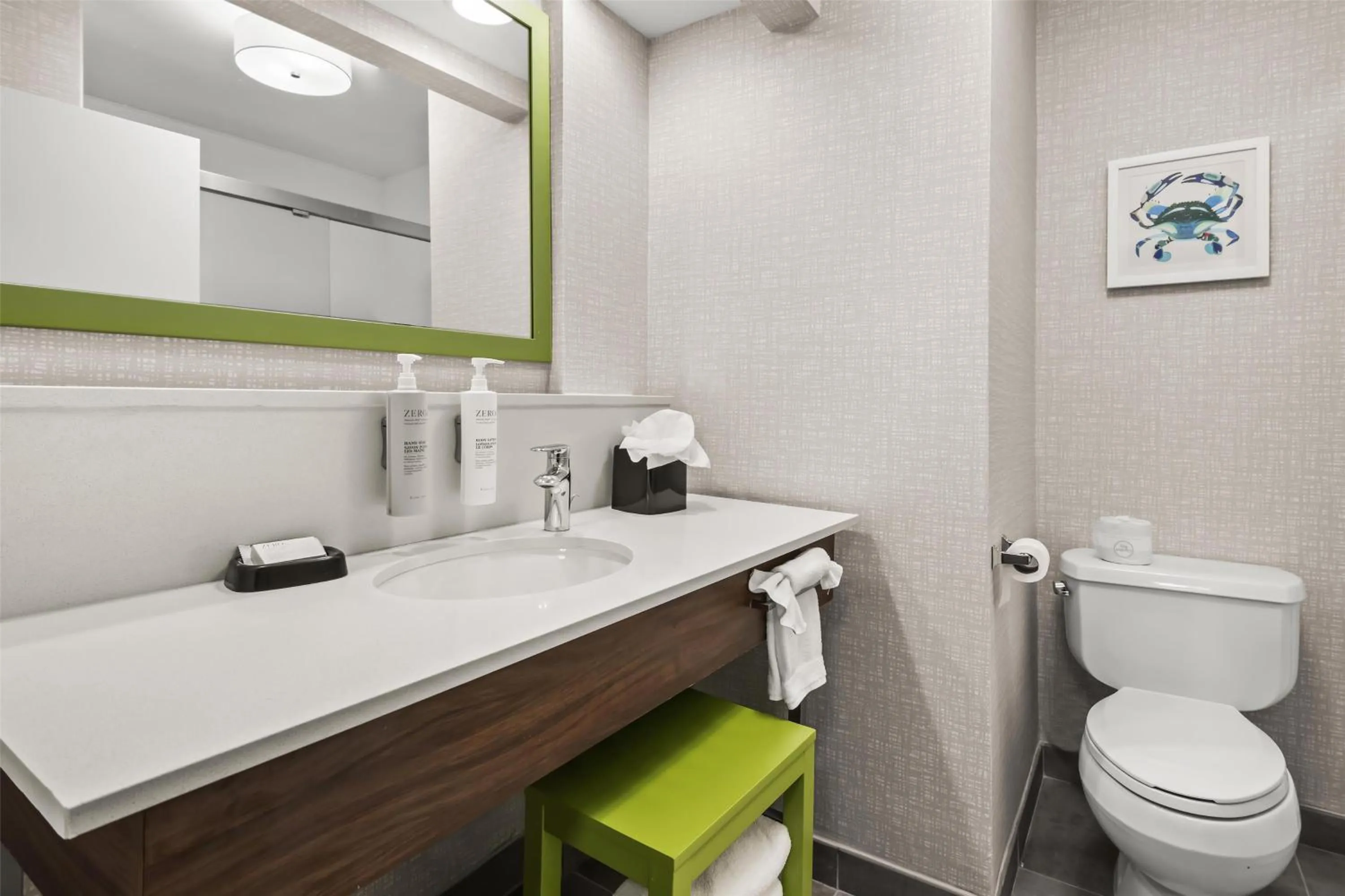 Bathroom in Hampton Inn Elkton