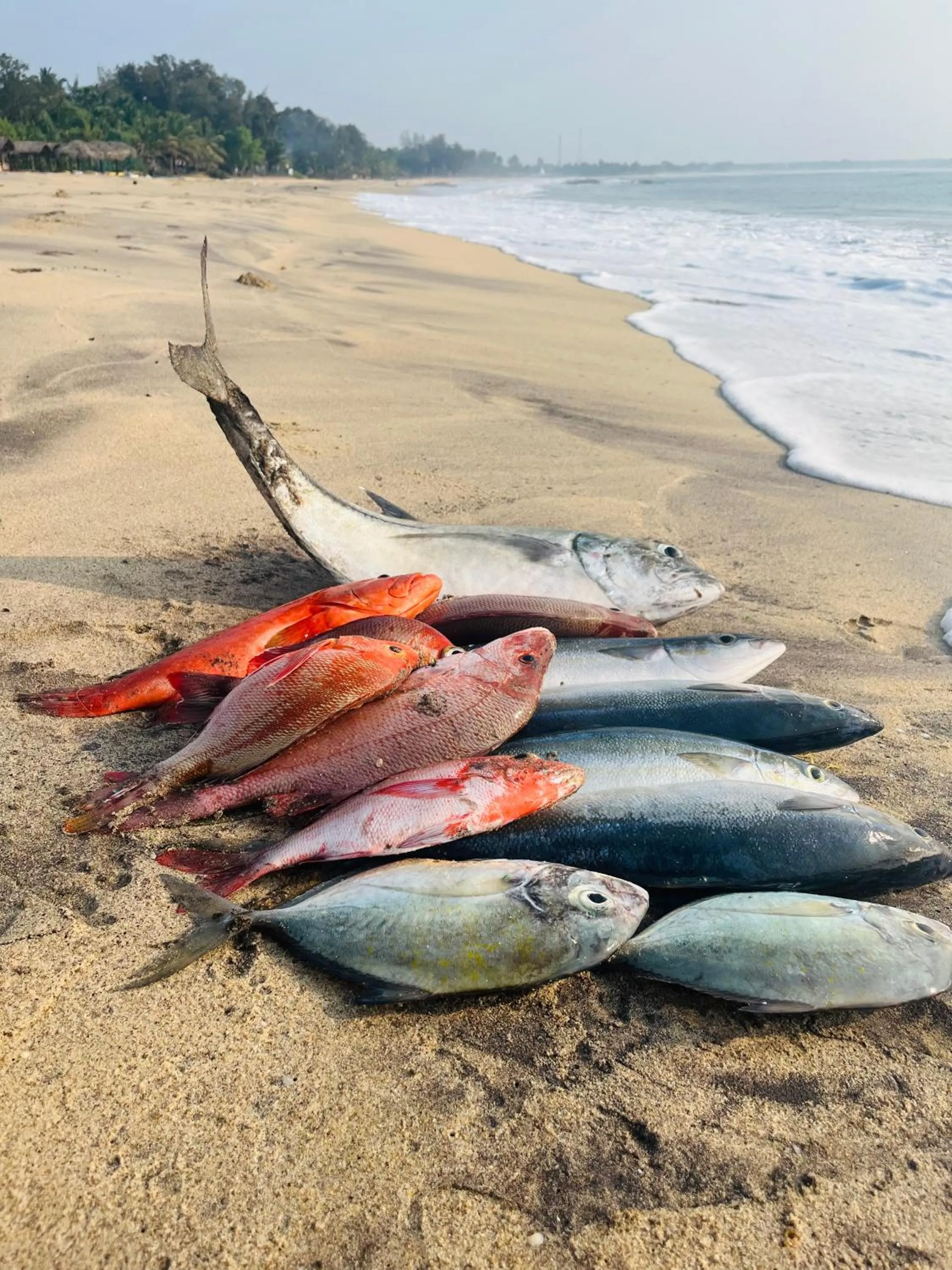 Beach in Sunrise Cabanas
