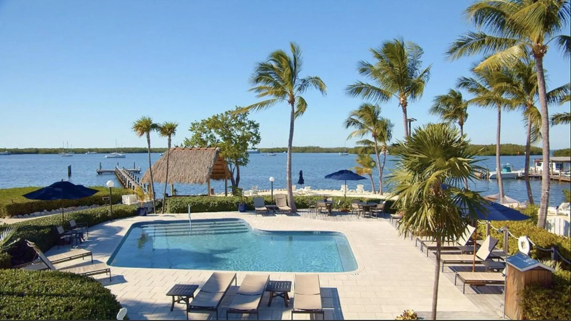 Swimming pool in Coconut Palm Inn
