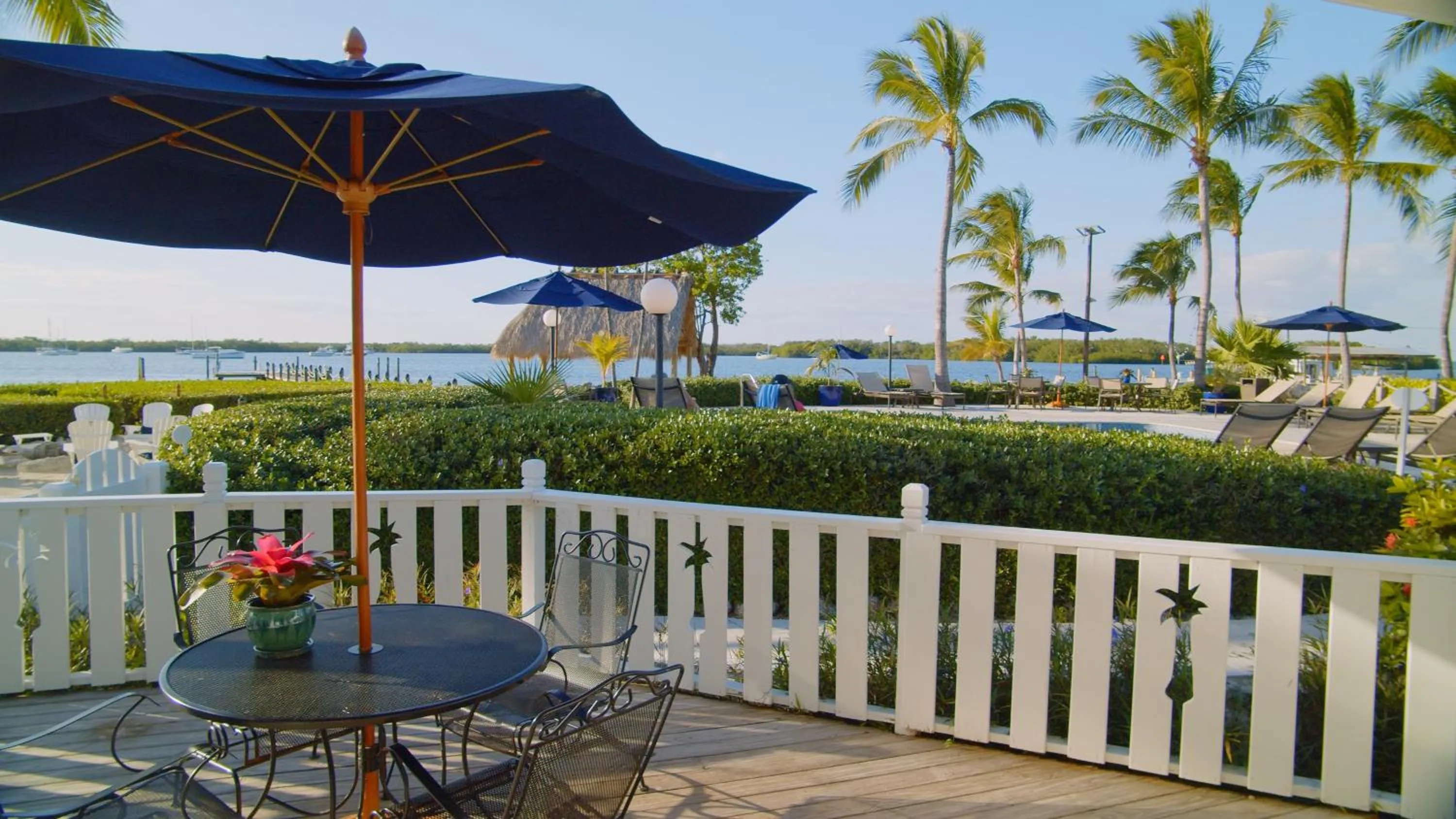 View (from property/room) in Coconut Palm Inn