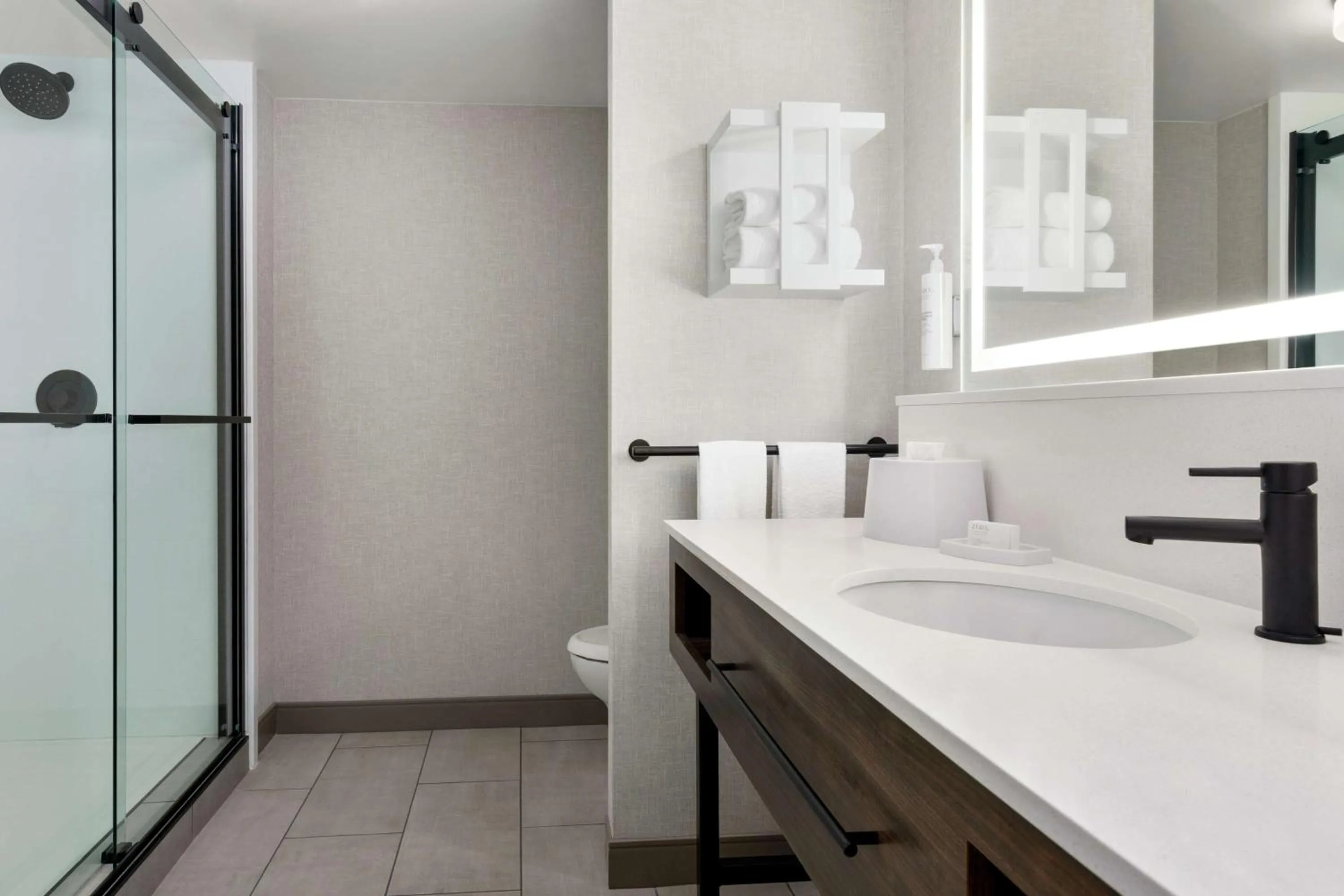 Bathroom in Hampton Inn & Suites Greenville-Downtown-Riverplace