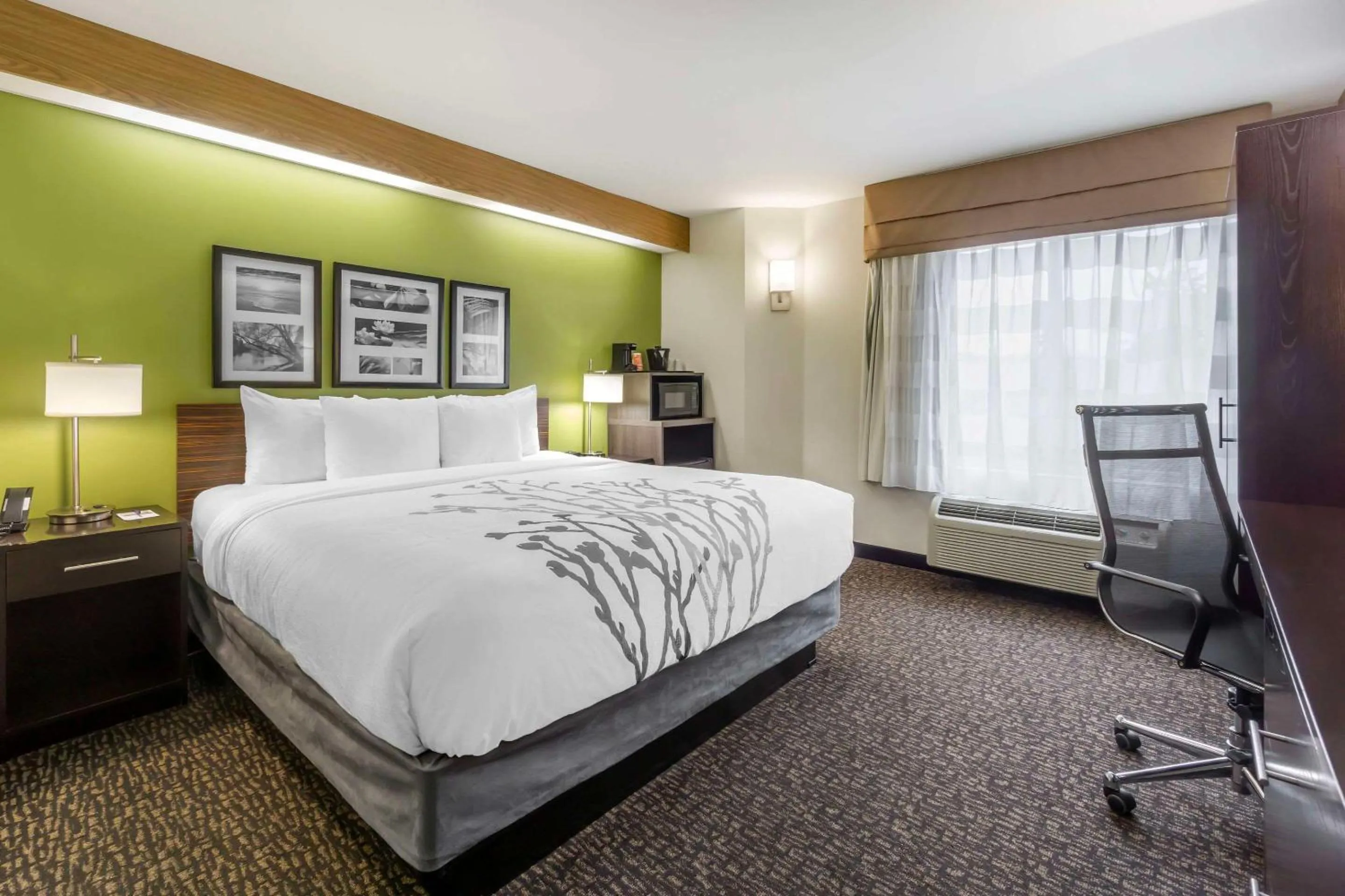 Bedroom, Bed in Sleep Inn Sea Tac Airport