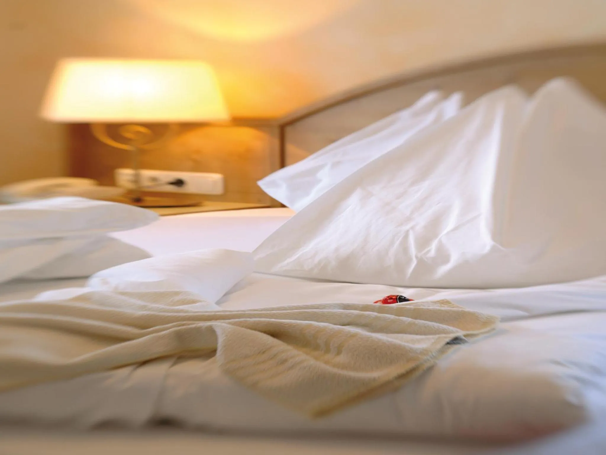 Decorative detail, Bed in Hotel Salzburger Hof