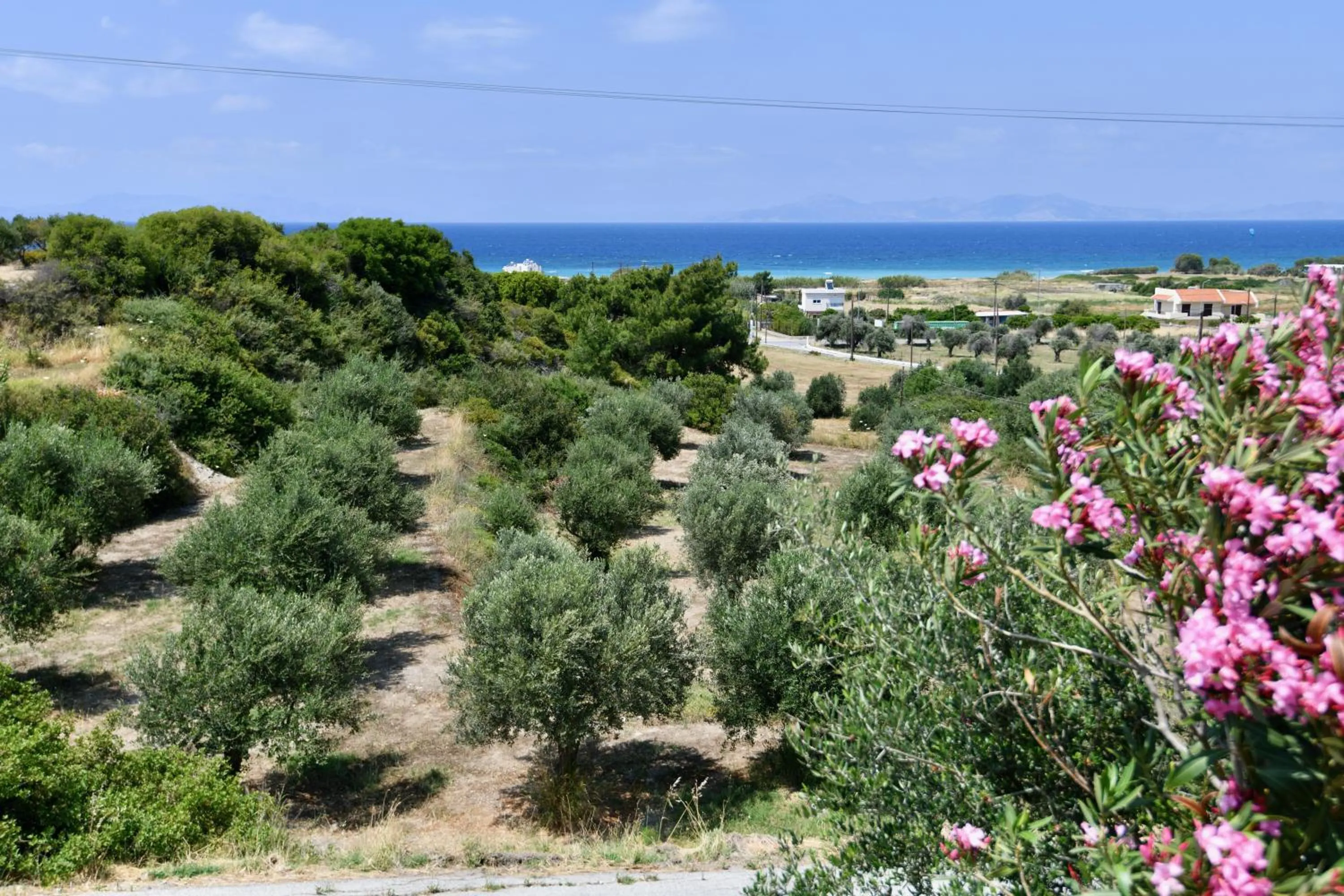 Sea view in Summer View