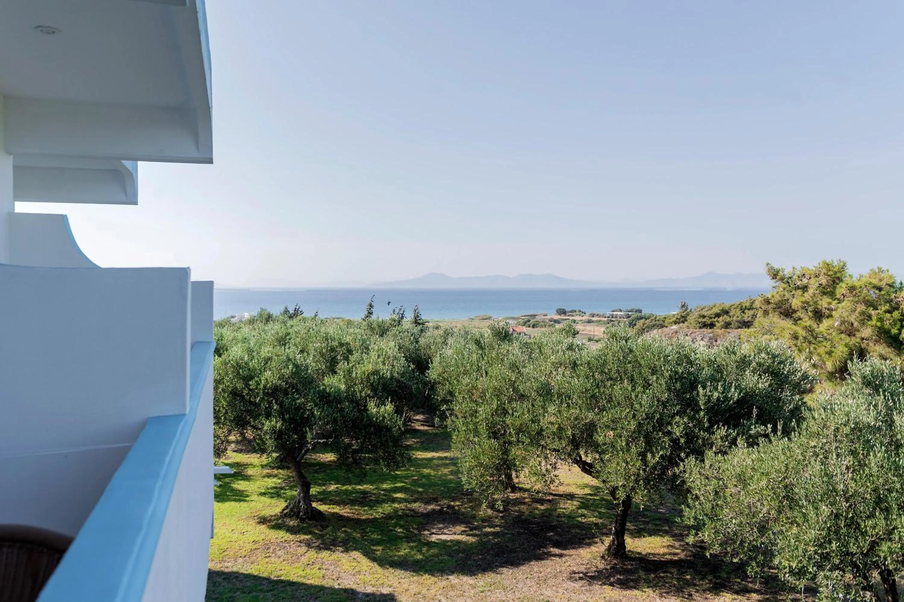 Balcony/Terrace in Summer View
