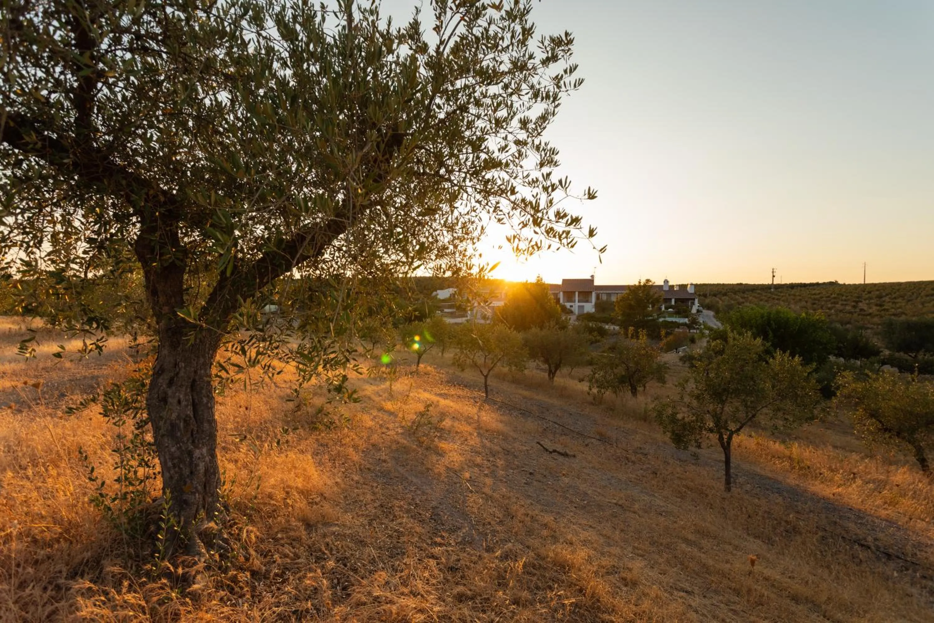 Natural landscape in Monte da Estrela - Country House & SPA