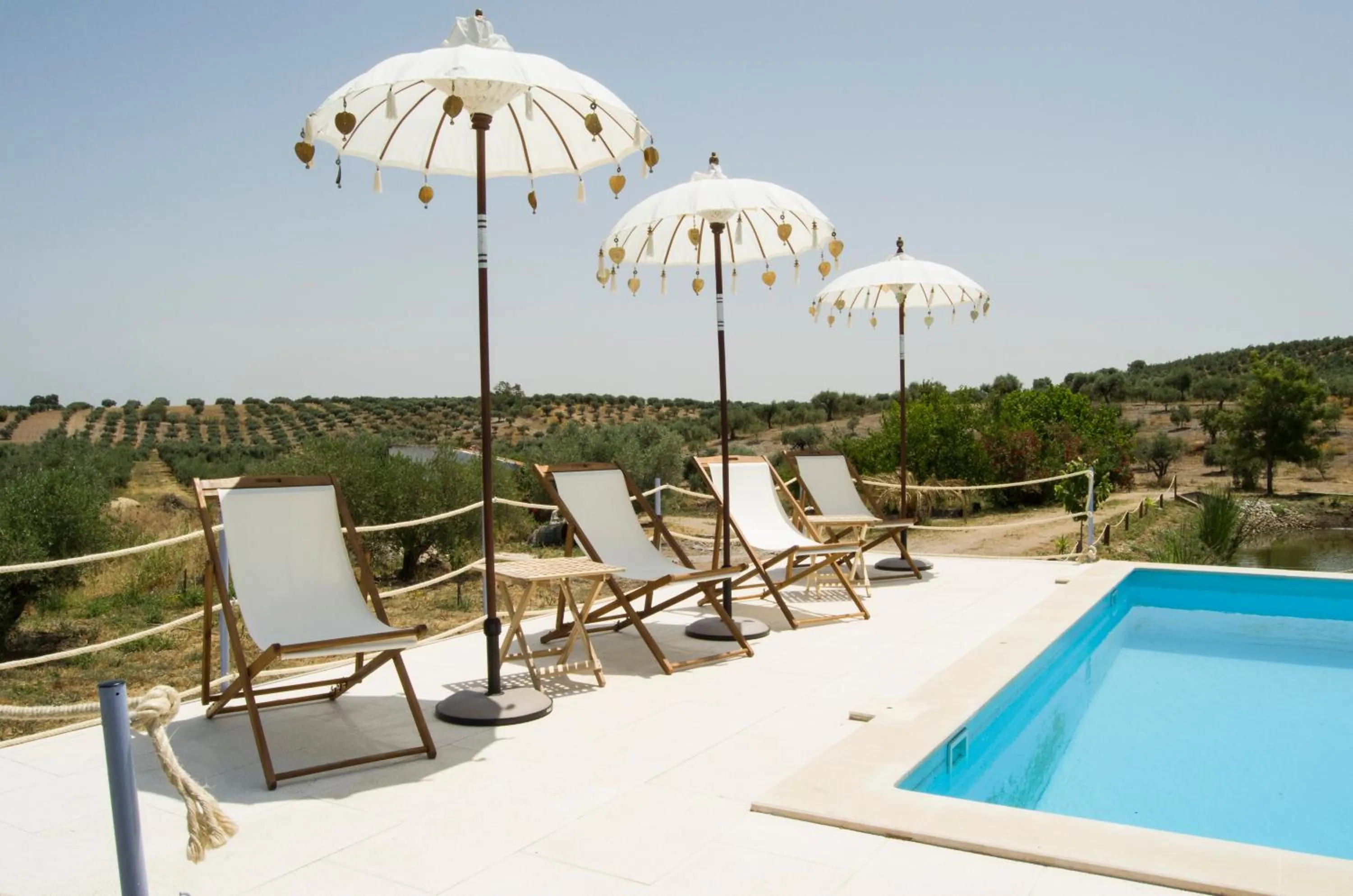 Swimming pool in Monte da Estrela - Country House & SPA