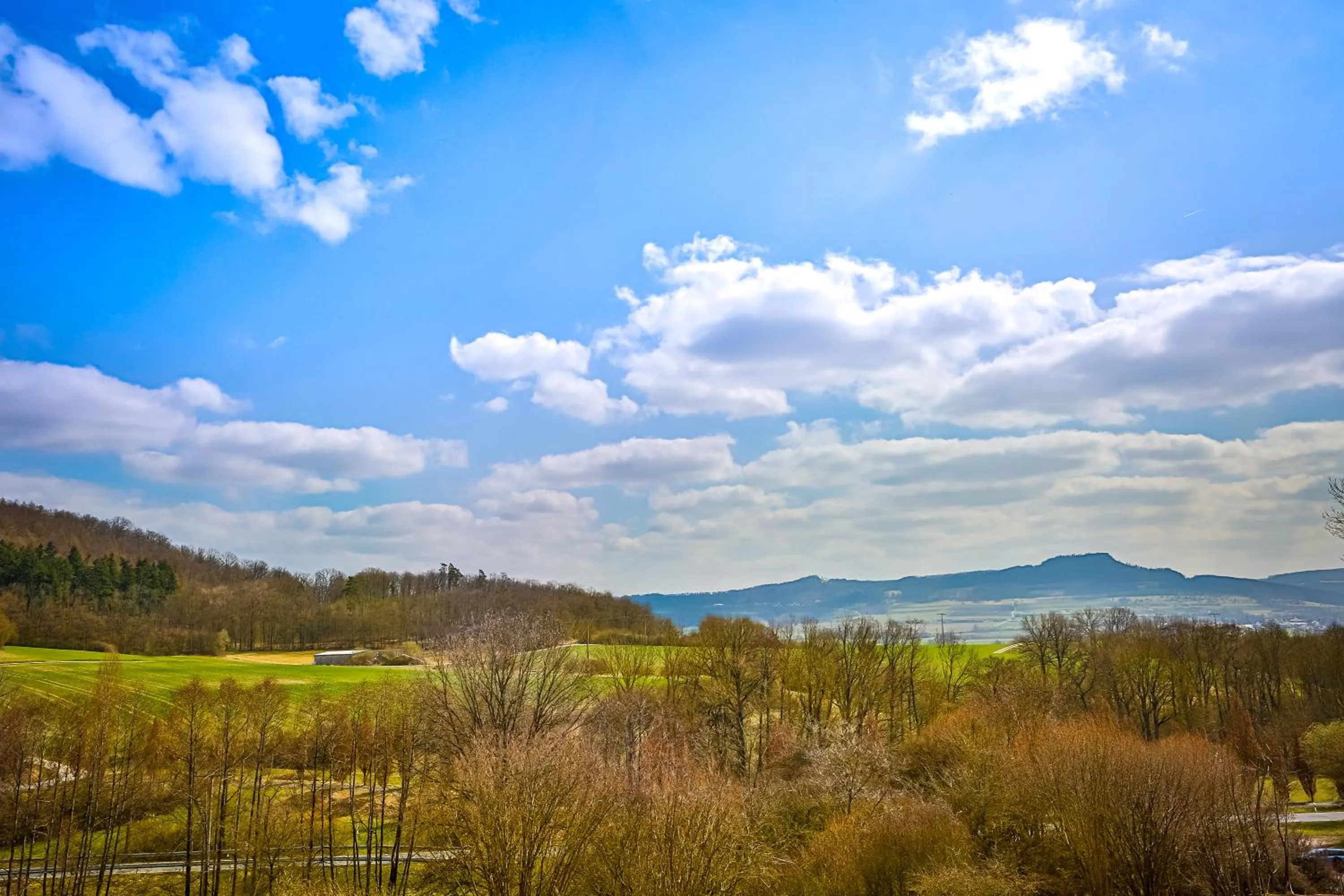 View (from property/room) in Berggasthof Banzer Wald