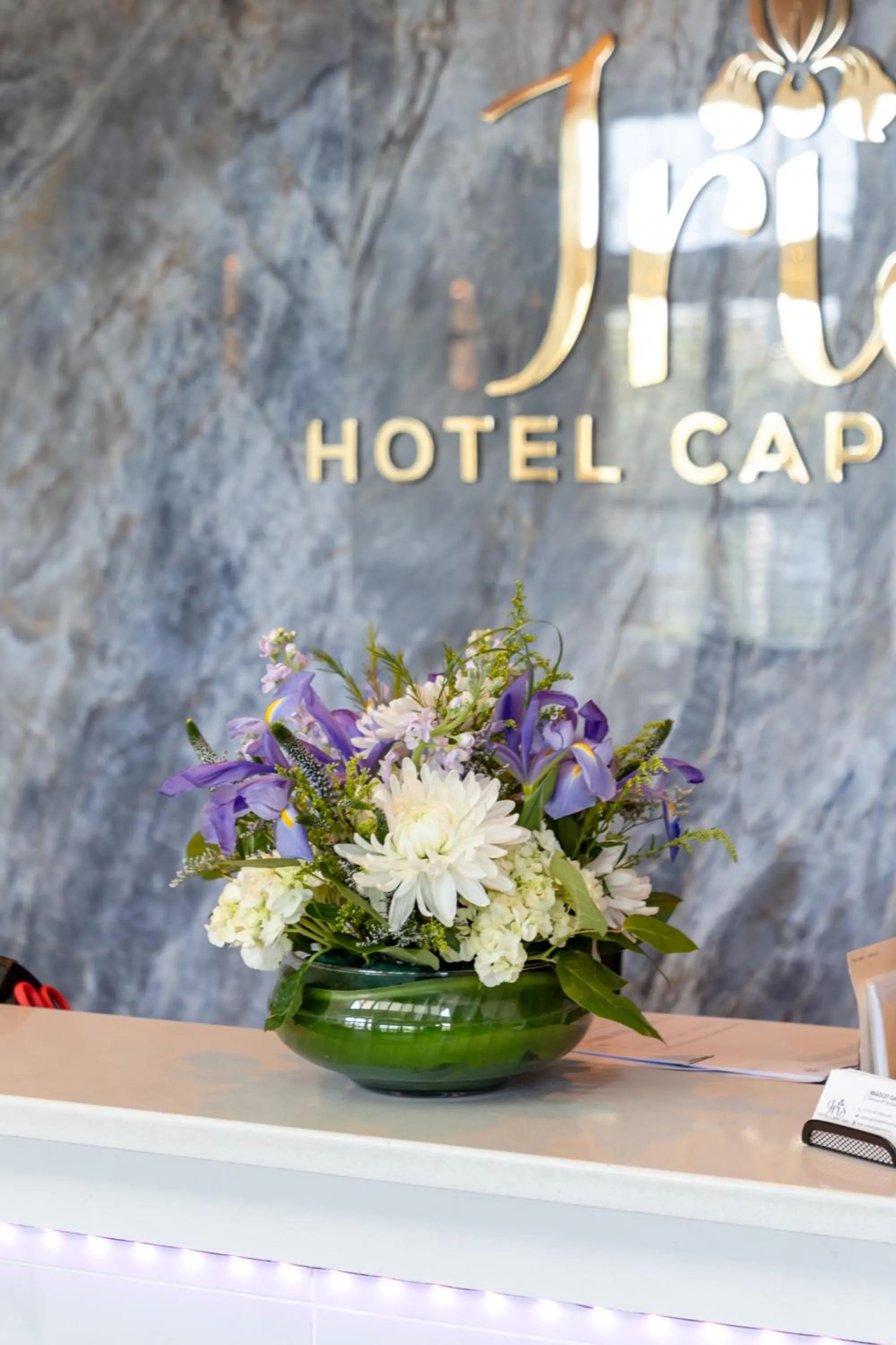 Property logo or sign in Iris Hotel Cape Cod