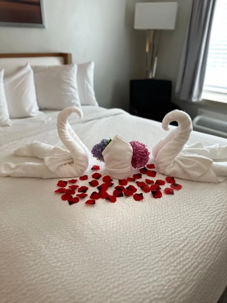 Bed in Iris Hotel Cape Cod