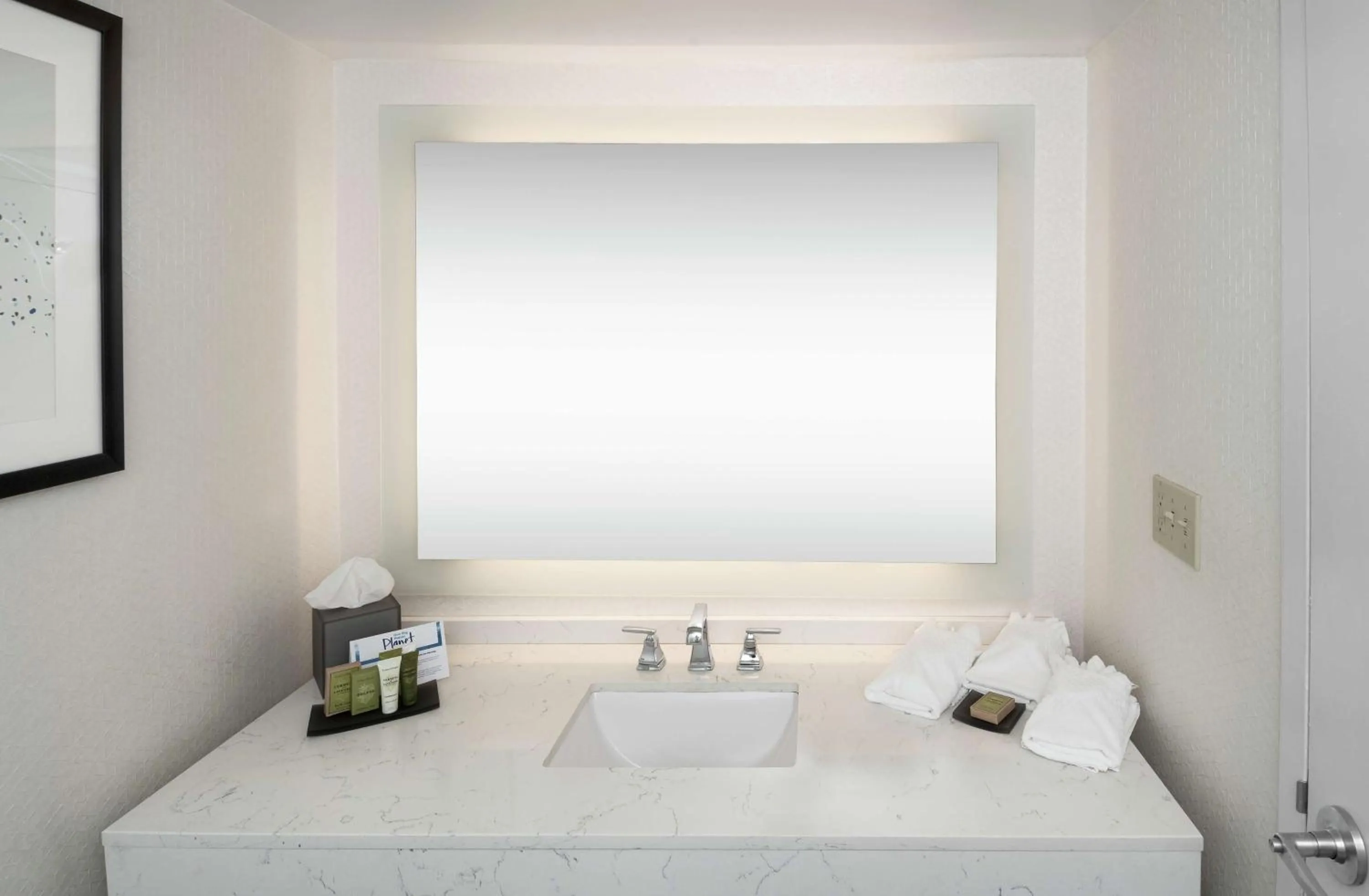 Bathroom, Bed in Hilton Greenville