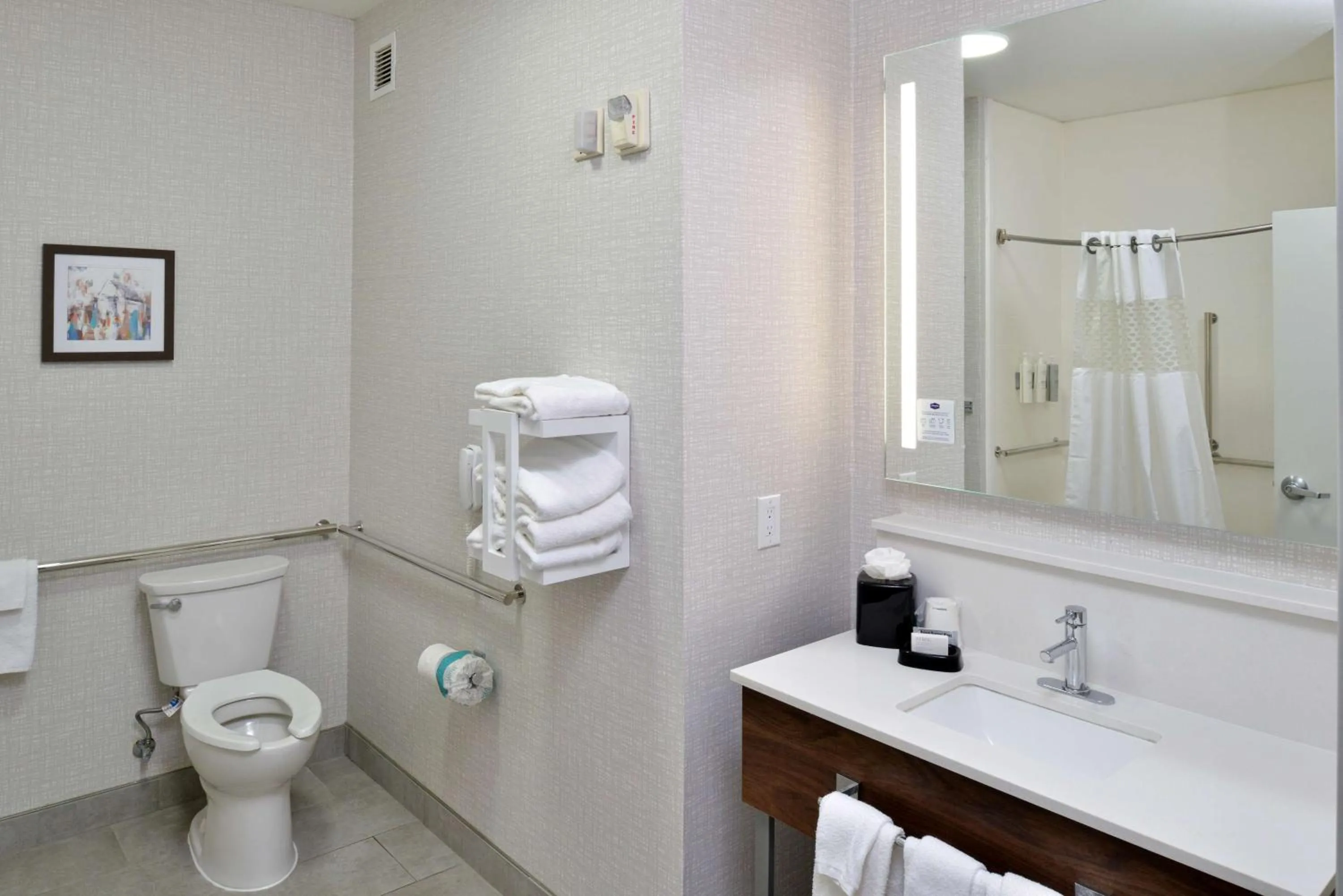 Bathroom in Hampton Inn & Suites Greenville