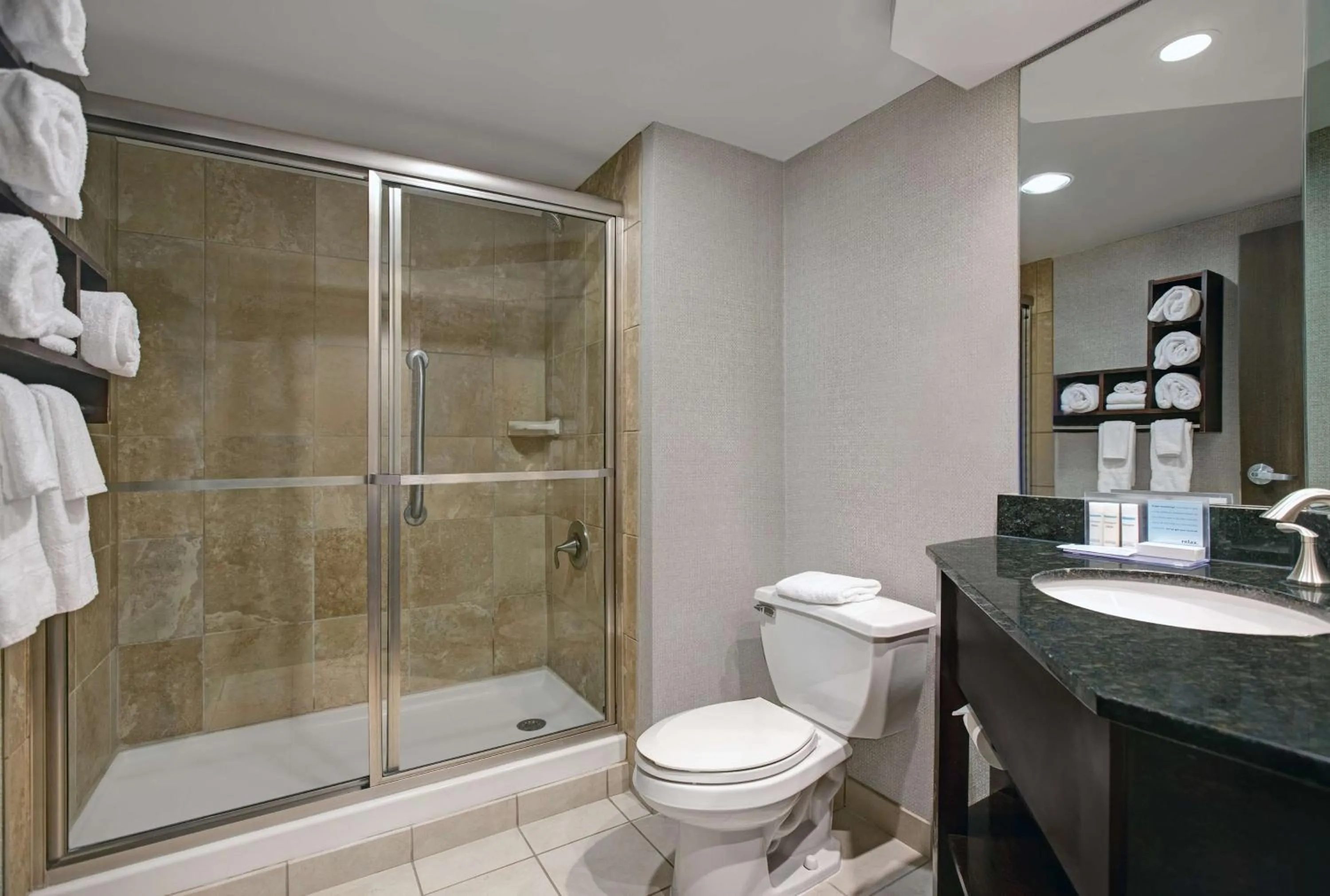 Bathroom in Hampton Inn Greenville/Woodruff Road