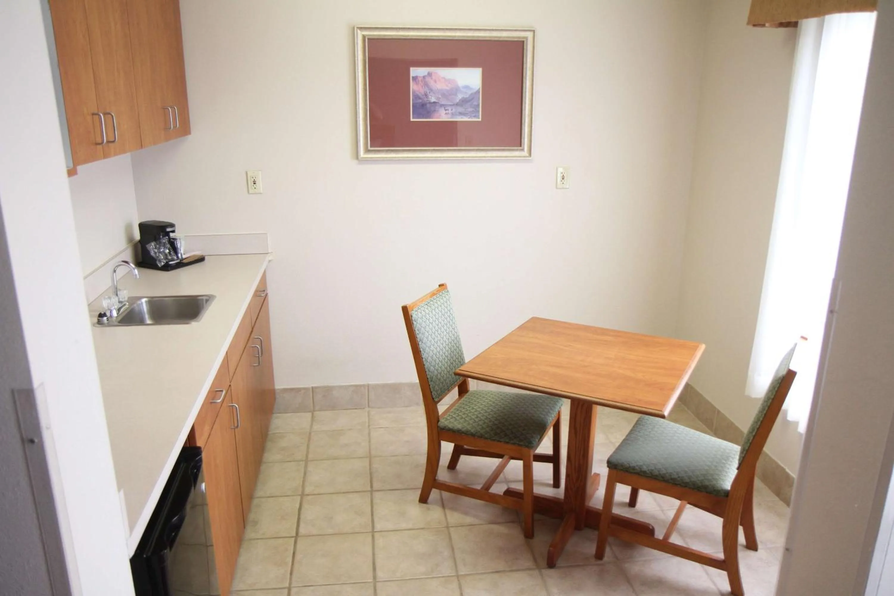 Kitchen or kitchenette in Hampton Inn Greeneville
