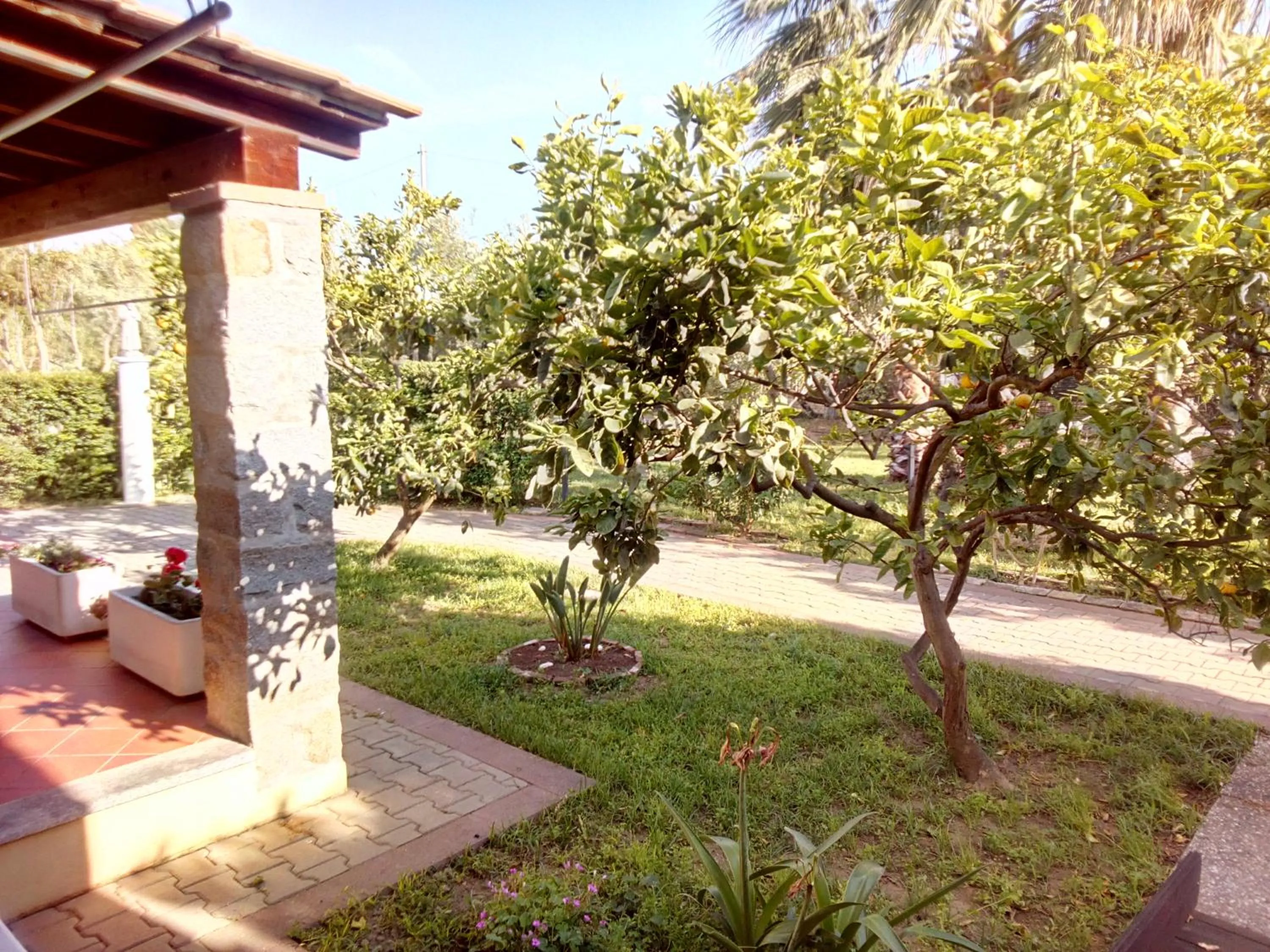 Property building in Su Pasu