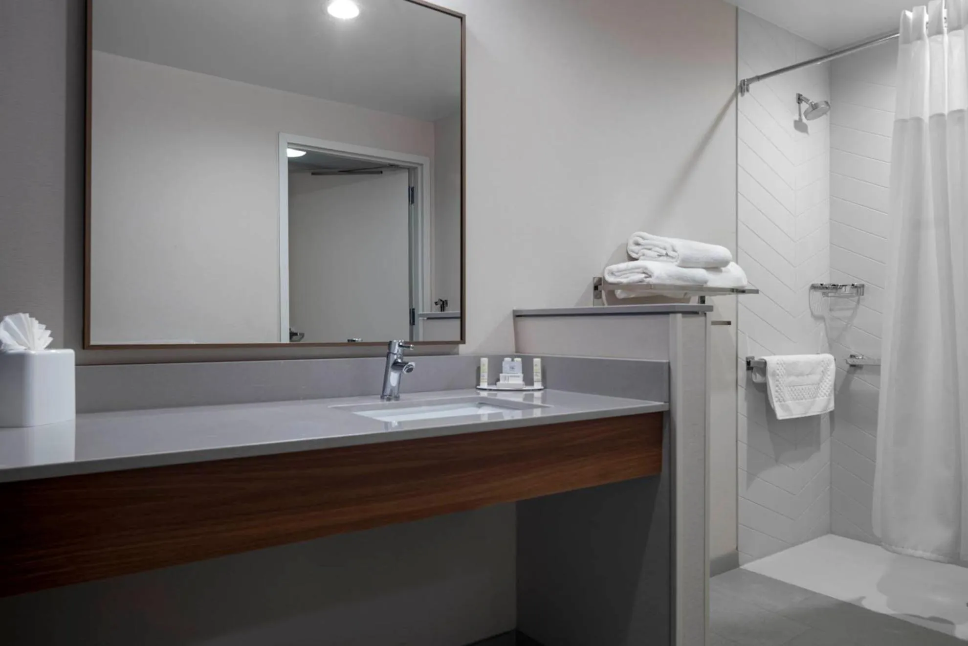Public Bath in Fairfield by Marriott Inn & Suites Dallas DFW Airport North, Irving
