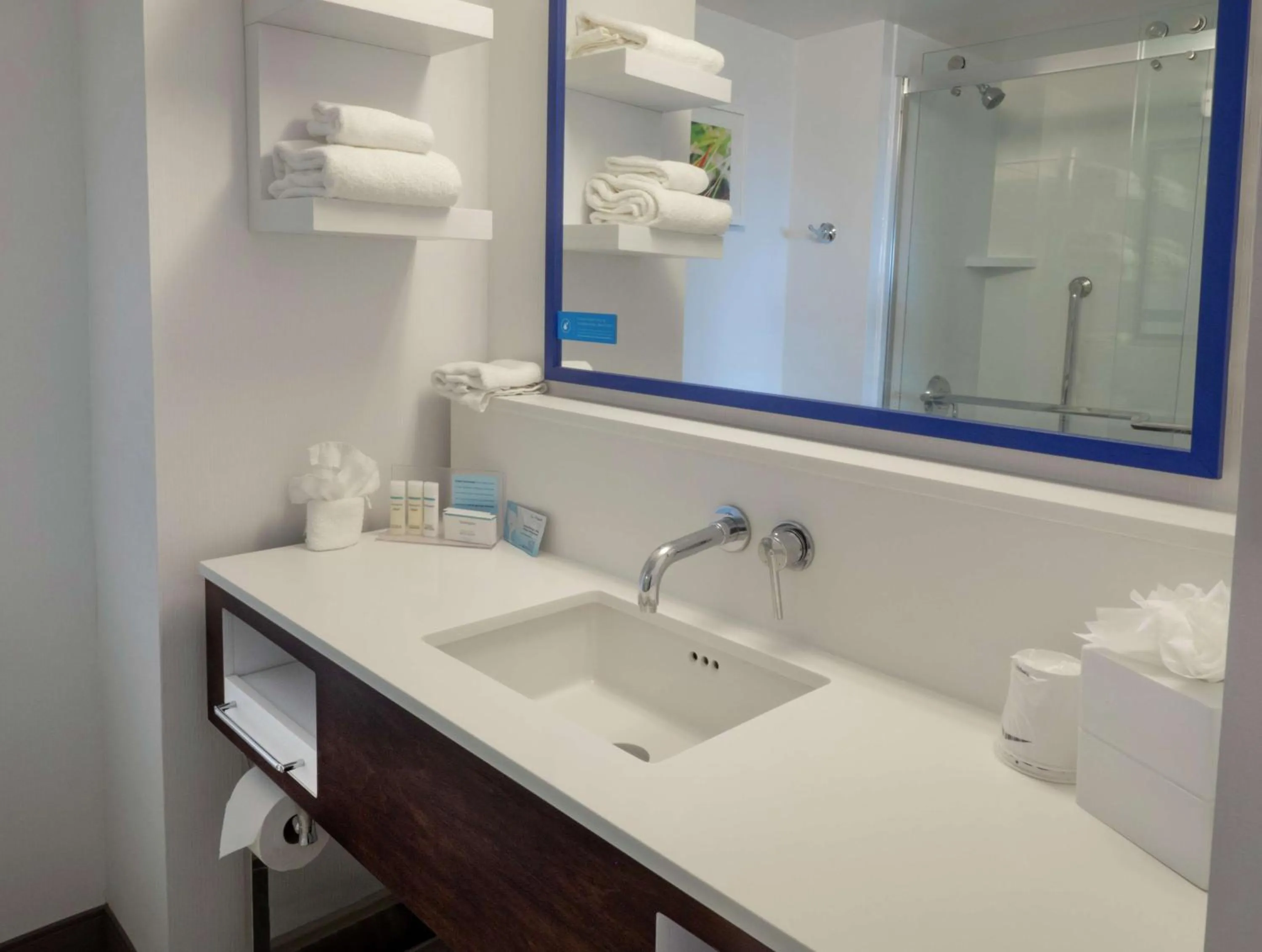 Bathroom in Hampton Inn Hazleton