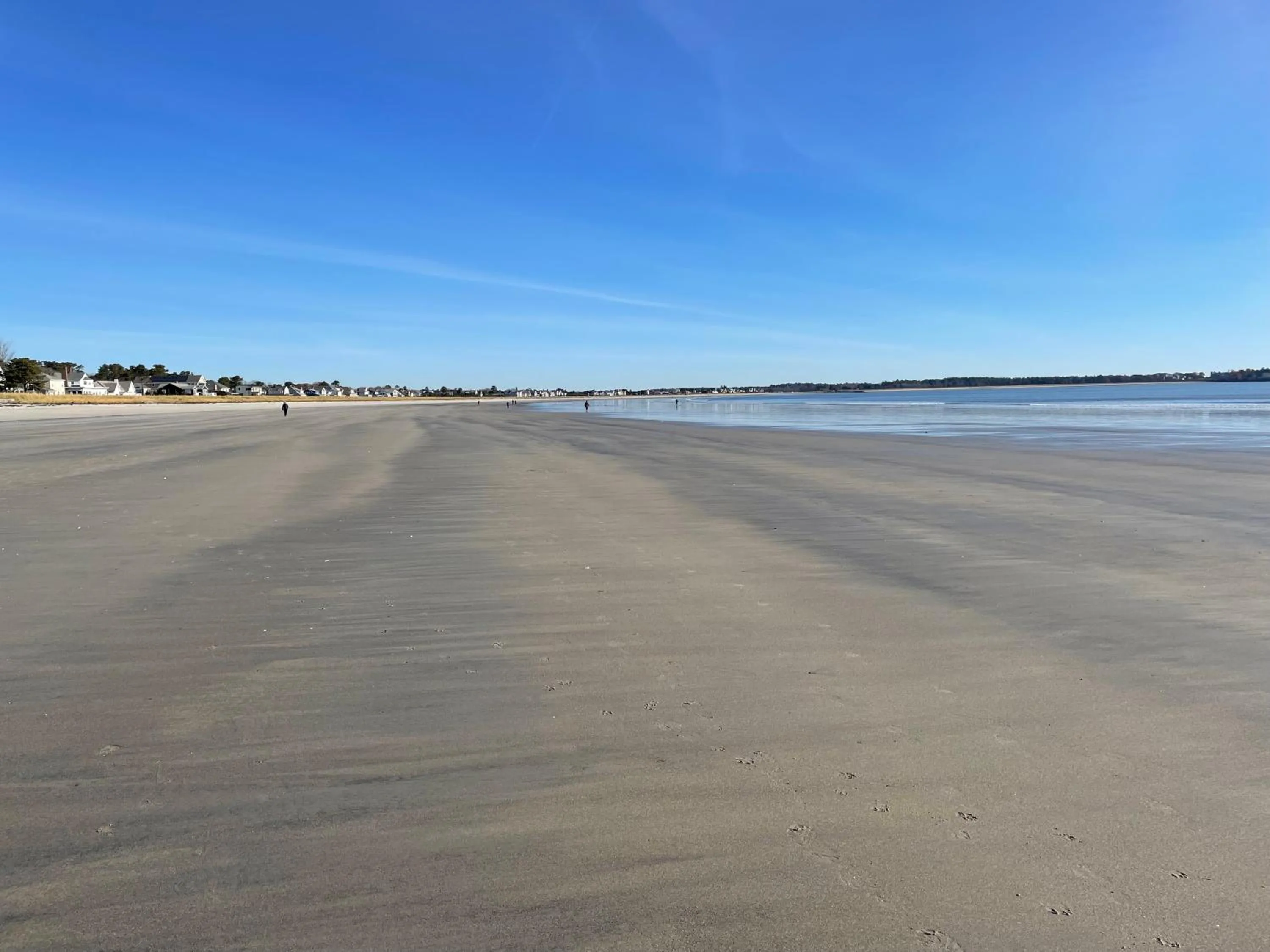 Beach in Moontide Motel, Apartments, and Cabins