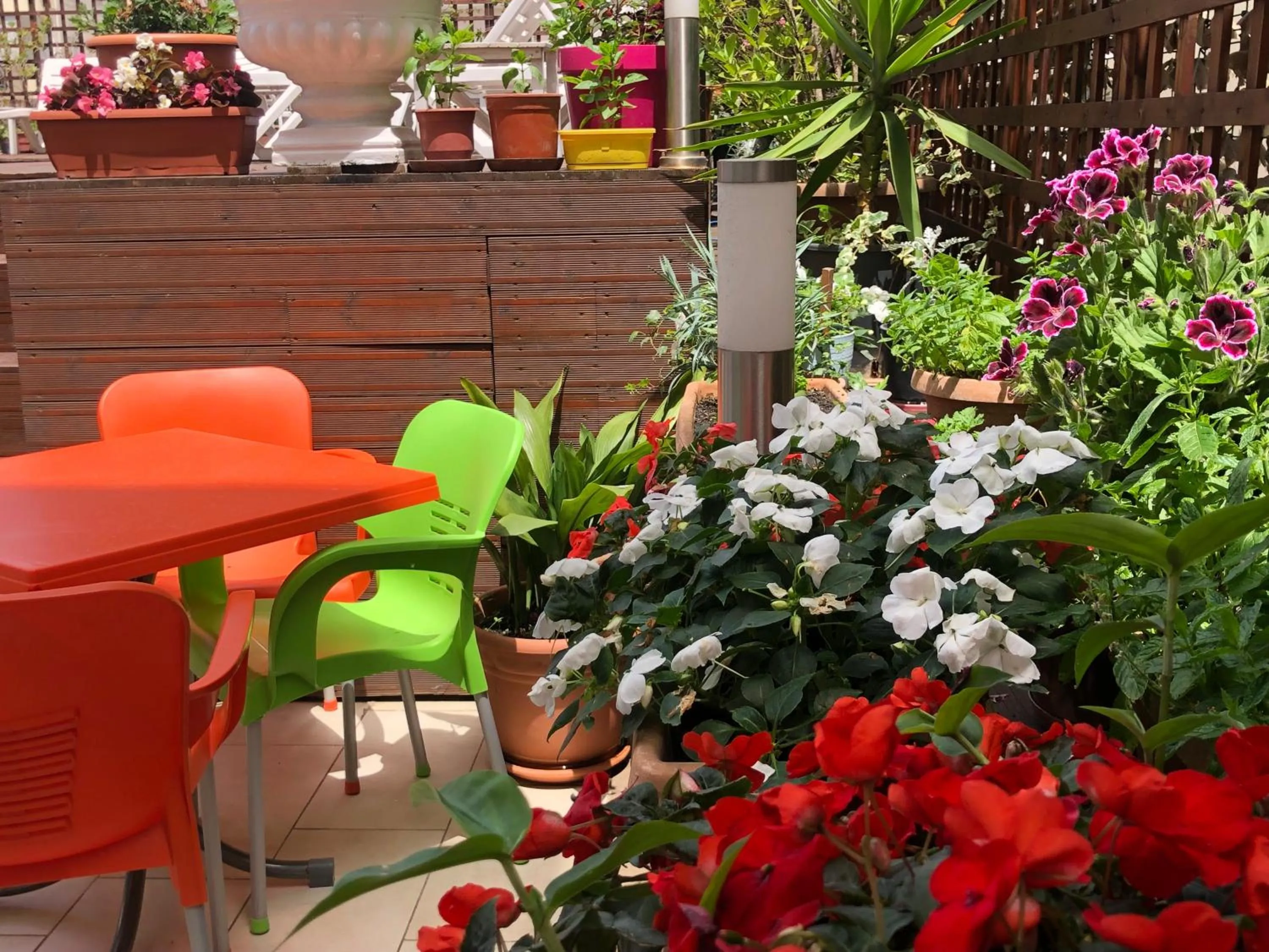 Swimming pool in Sunrise Hotel Cameria