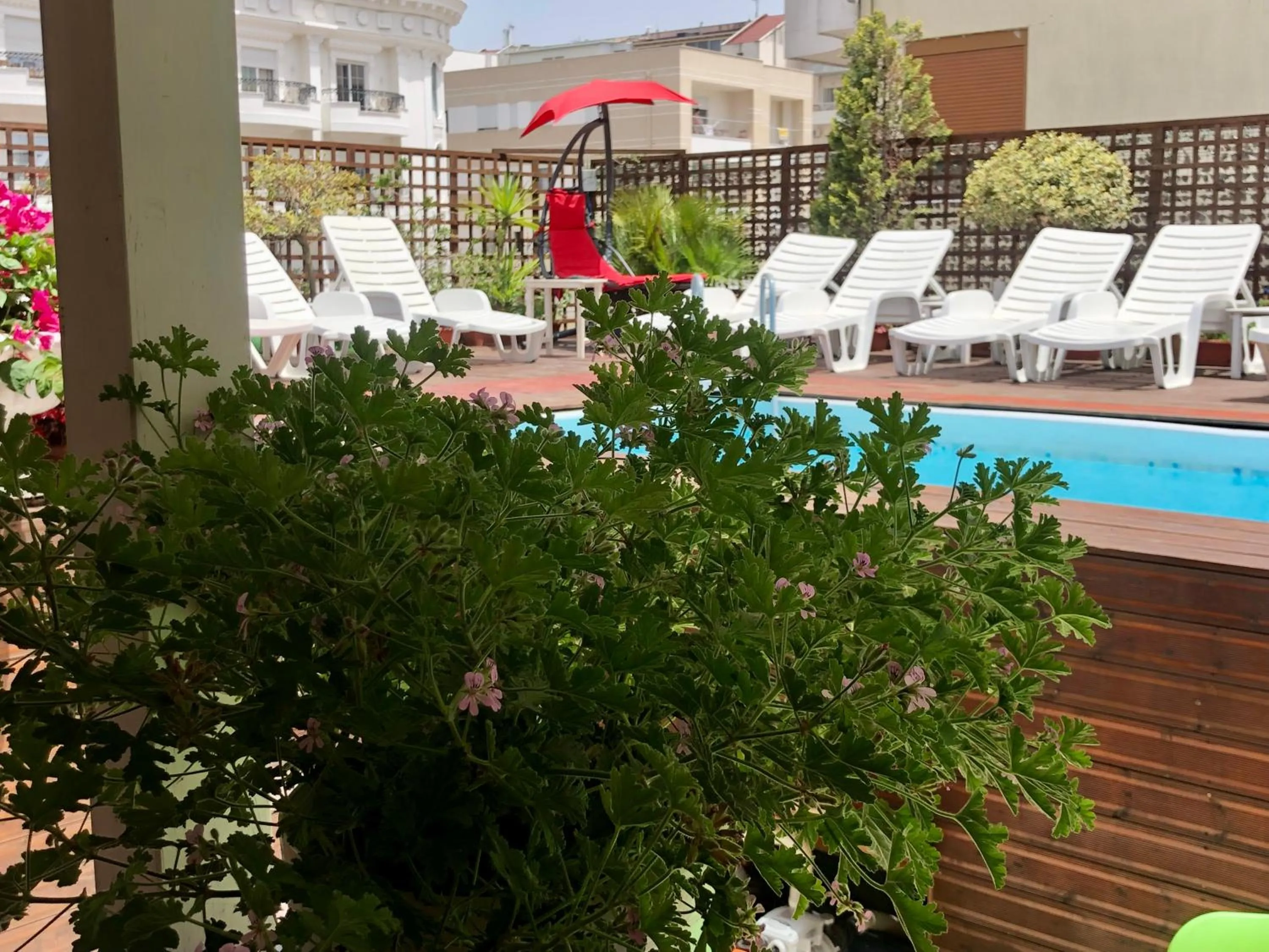 Swimming pool in Sunrise Hotel Cameria