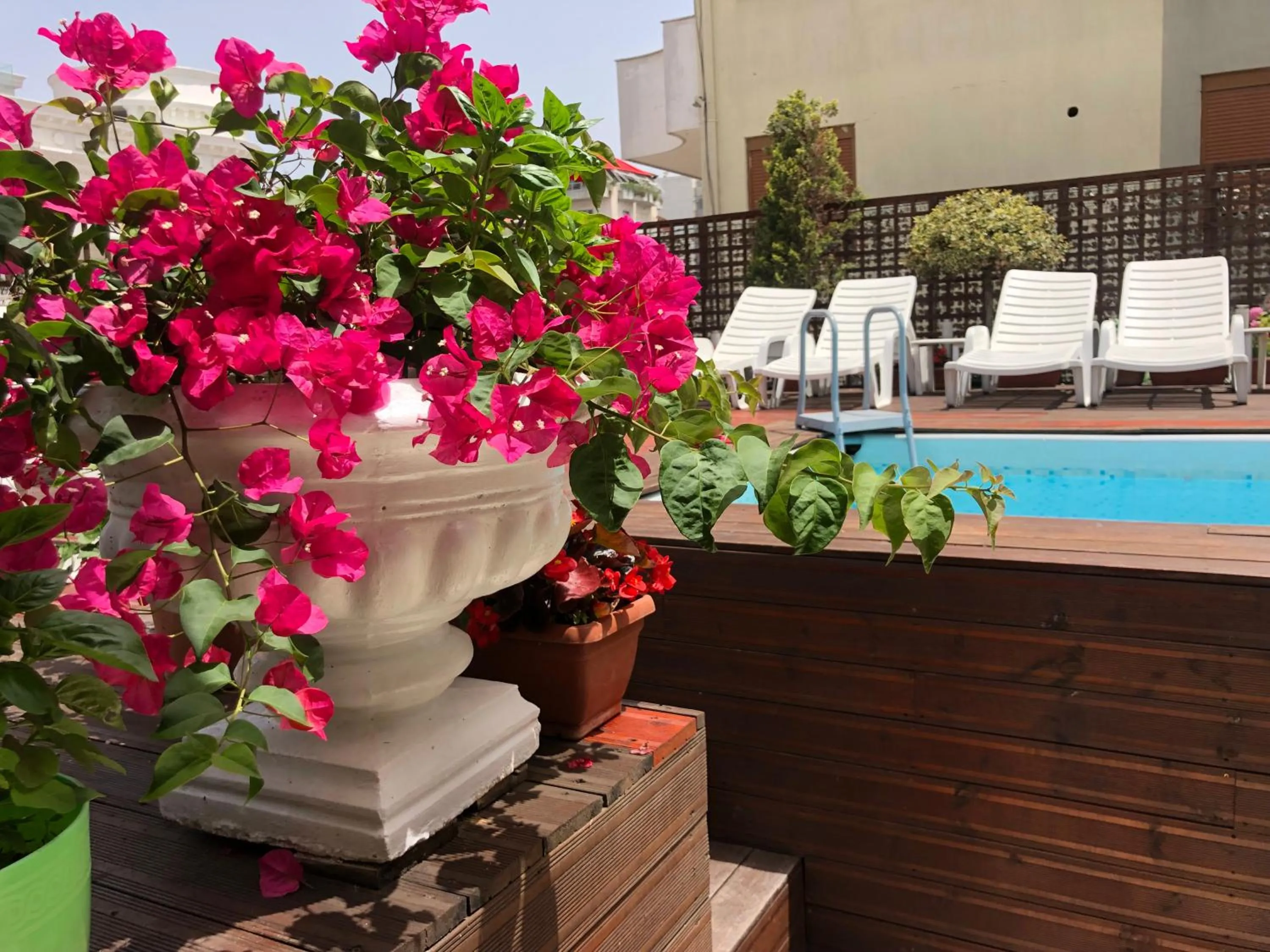 Swimming pool in Sunrise Hotel Cameria