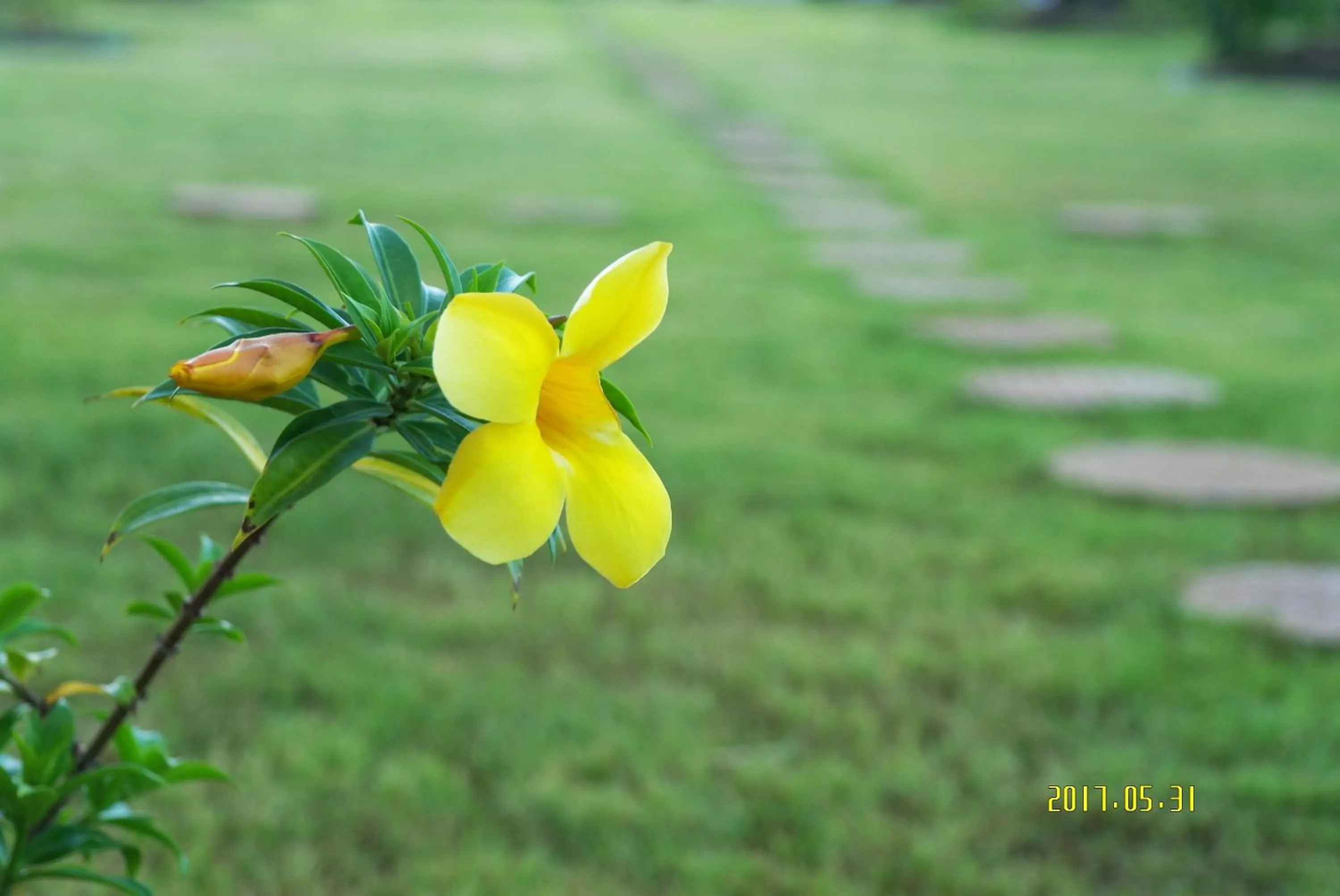 Day in Serenti Hotel Saipan