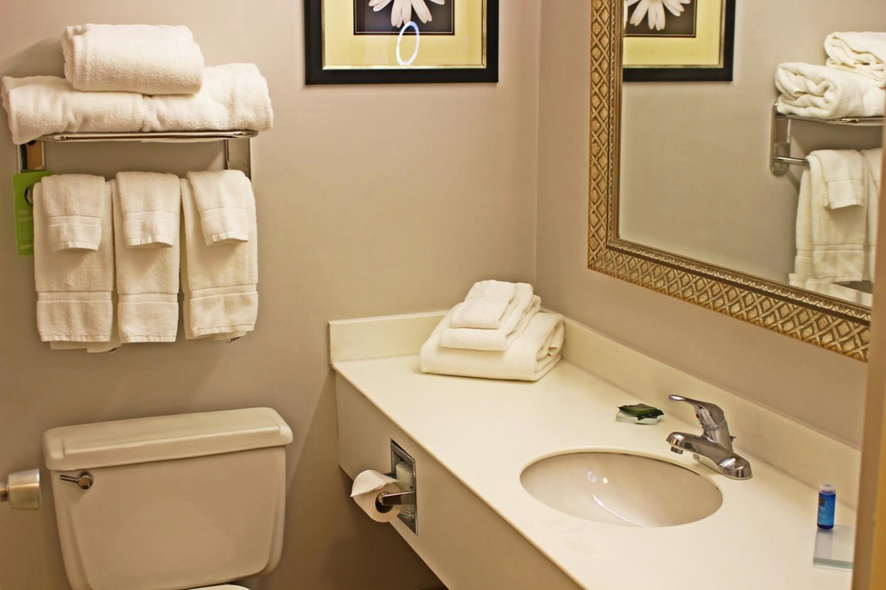 Bathroom in Clarion Inn Sheffield Muscle Shoals