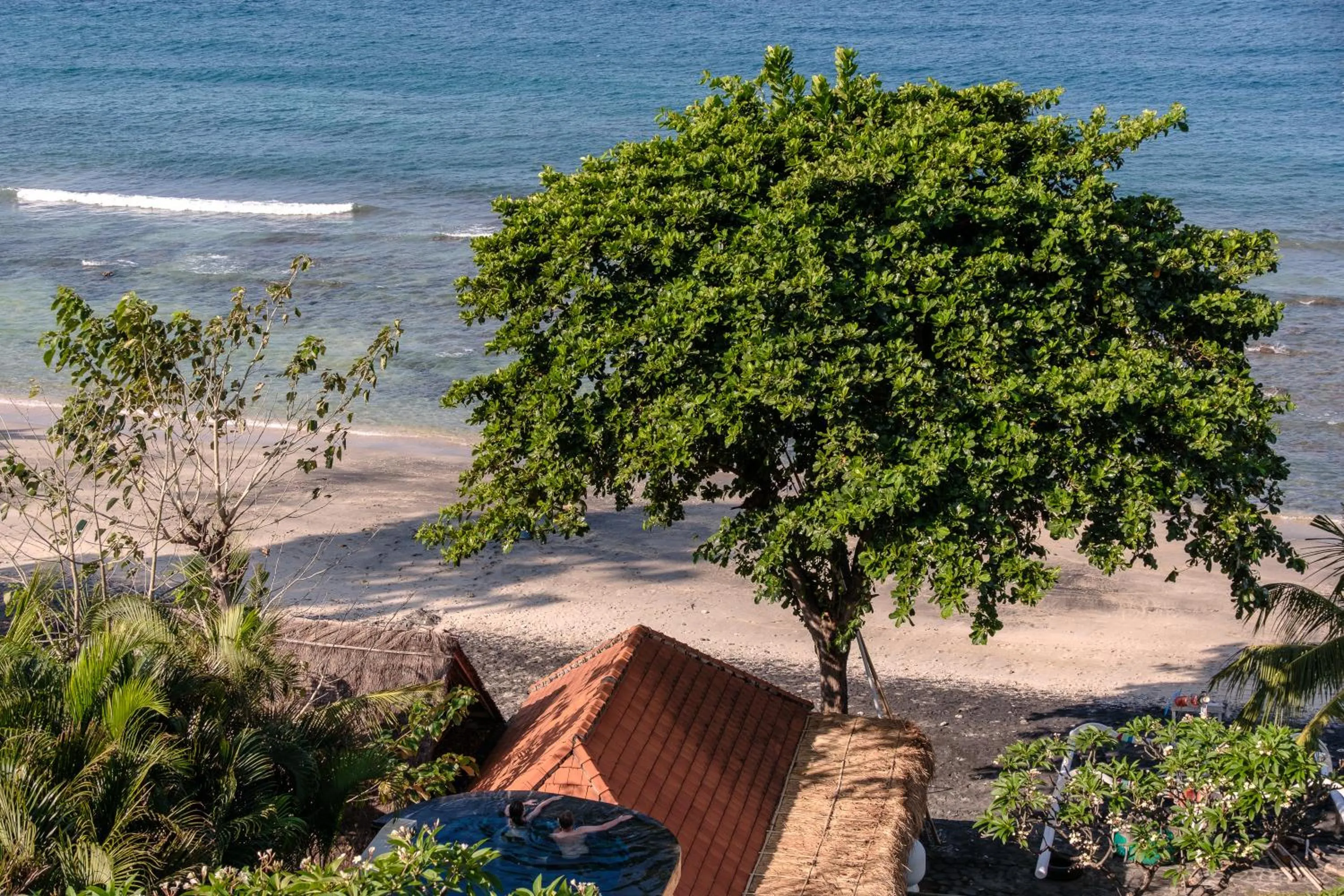 Natural landscape in Ibus Beach Hotel