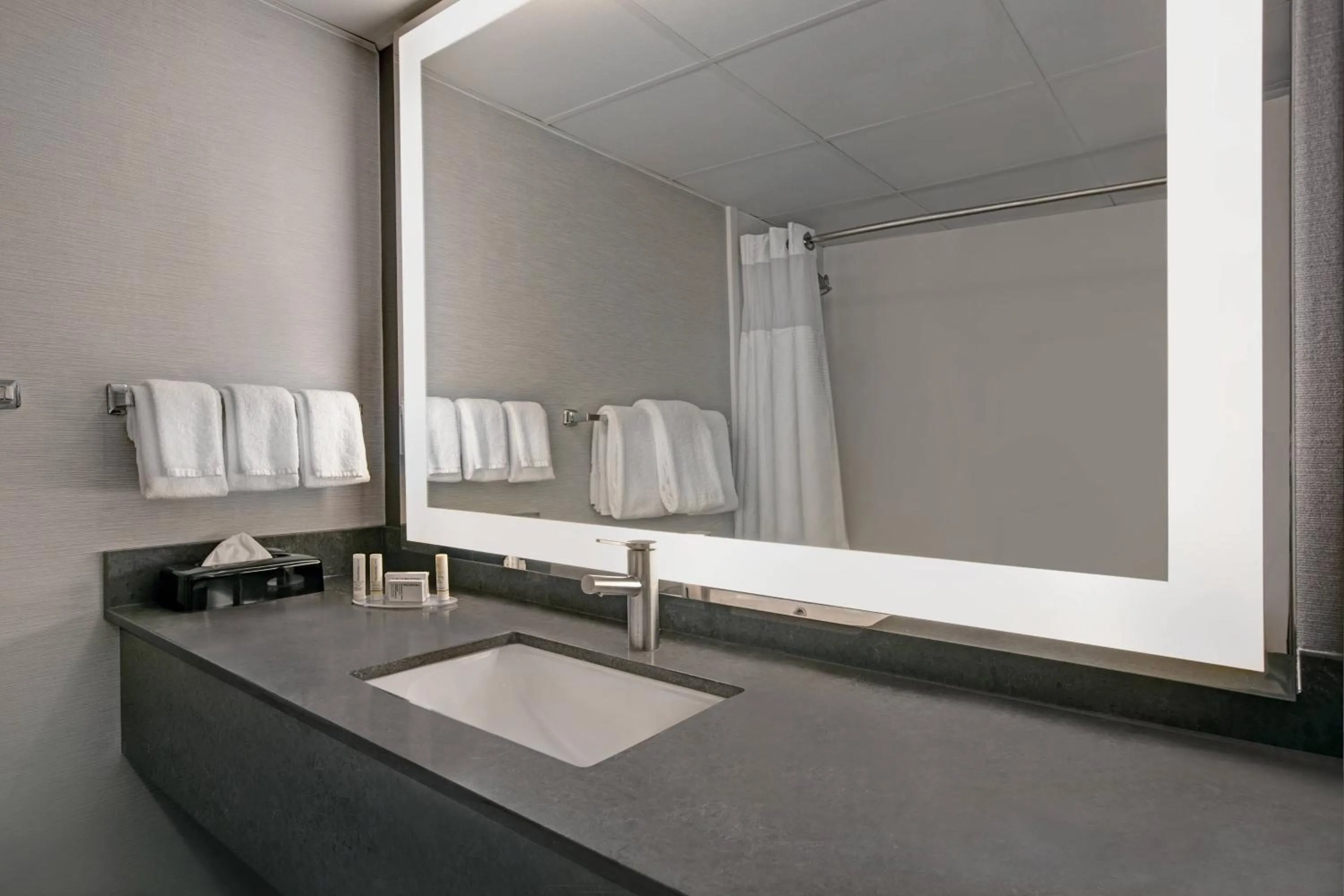 Bathroom in Courtyard Chicago Elmhurst/Oakbrook Area