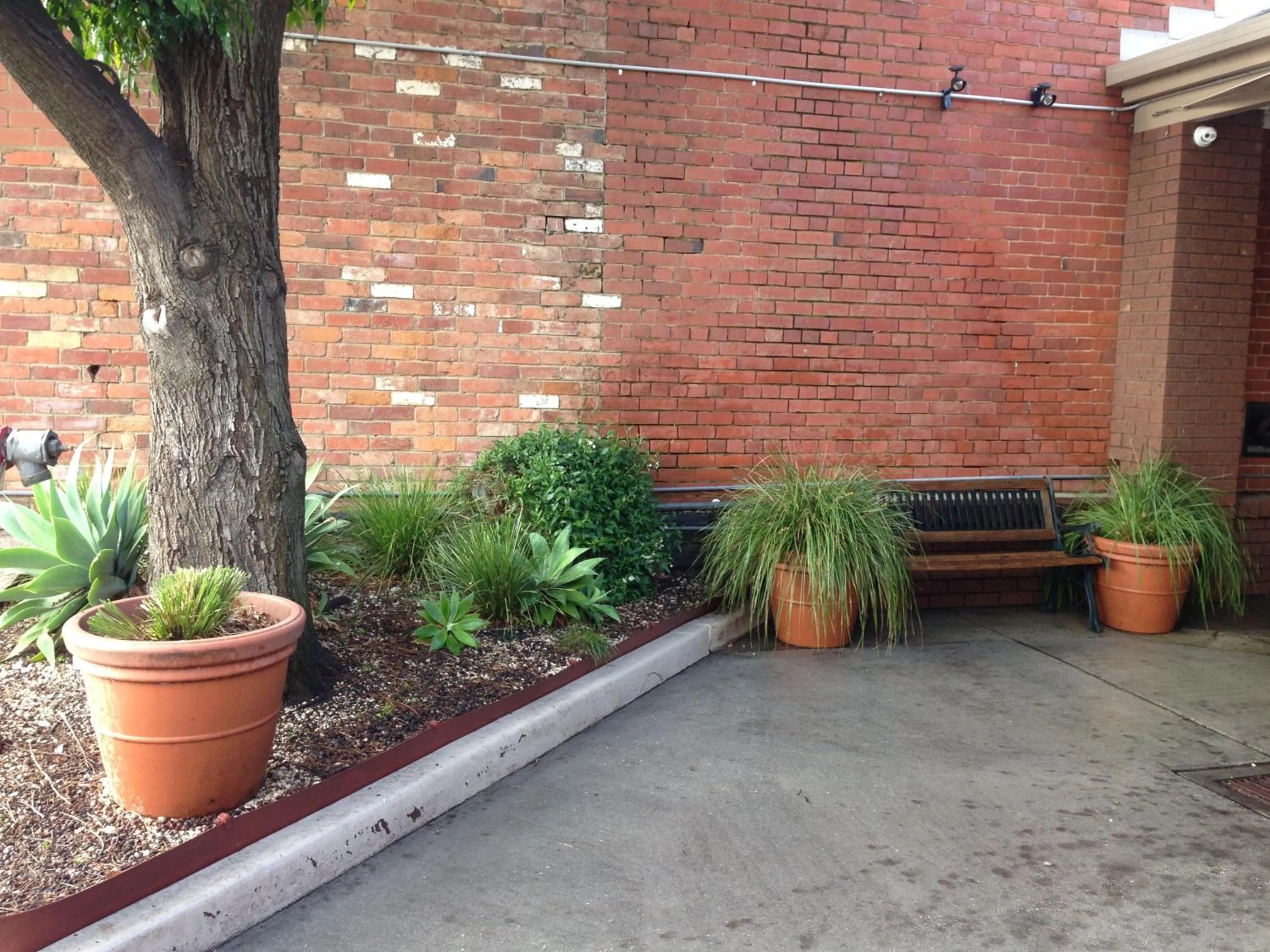 Garden in Albury Regent Motel