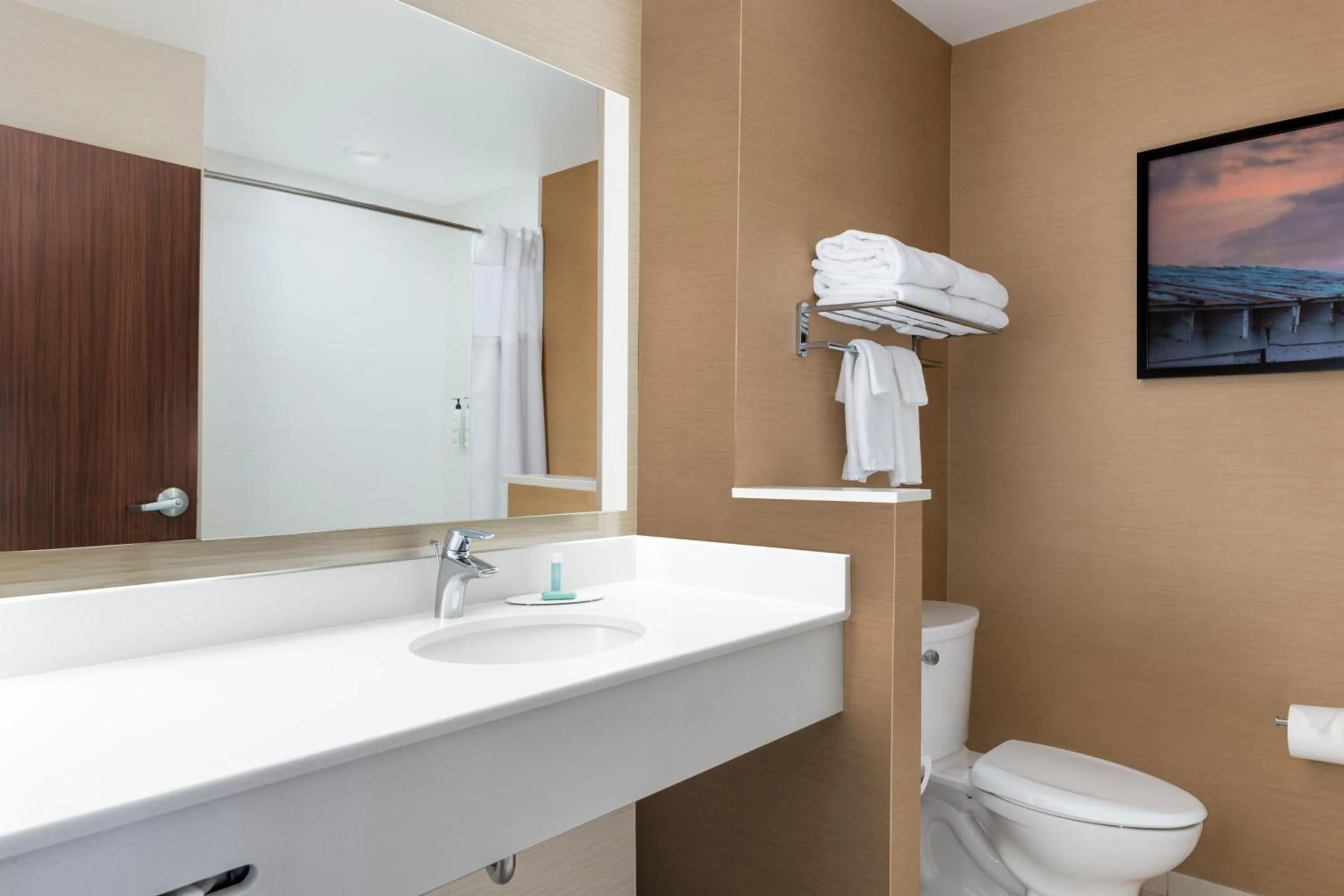 Bathroom in Fairfield Inn & Suites by Marriott Martinsburg