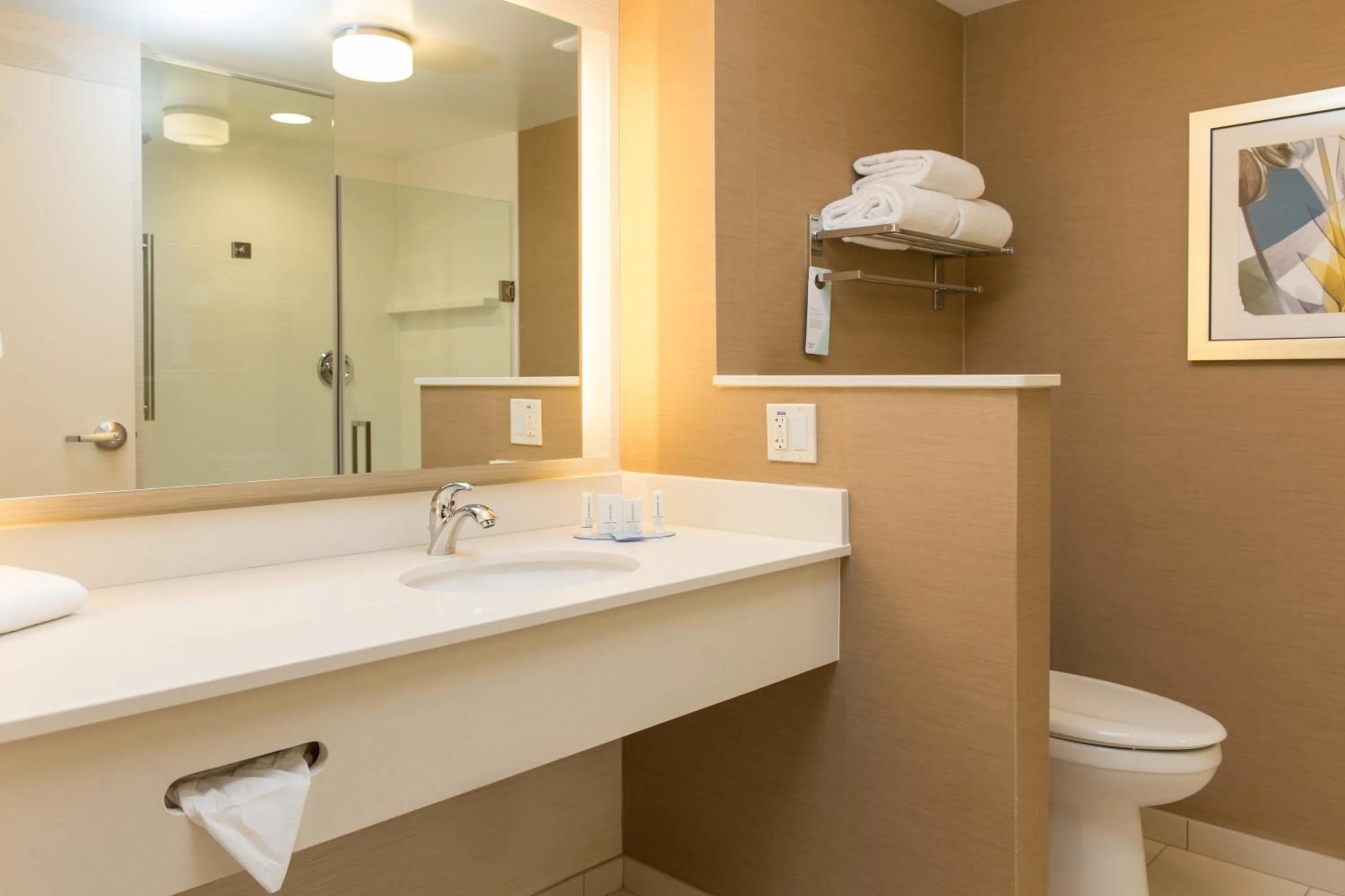 Bathroom in Fairfield Inn & Suites by Marriott Sacramento Folsom