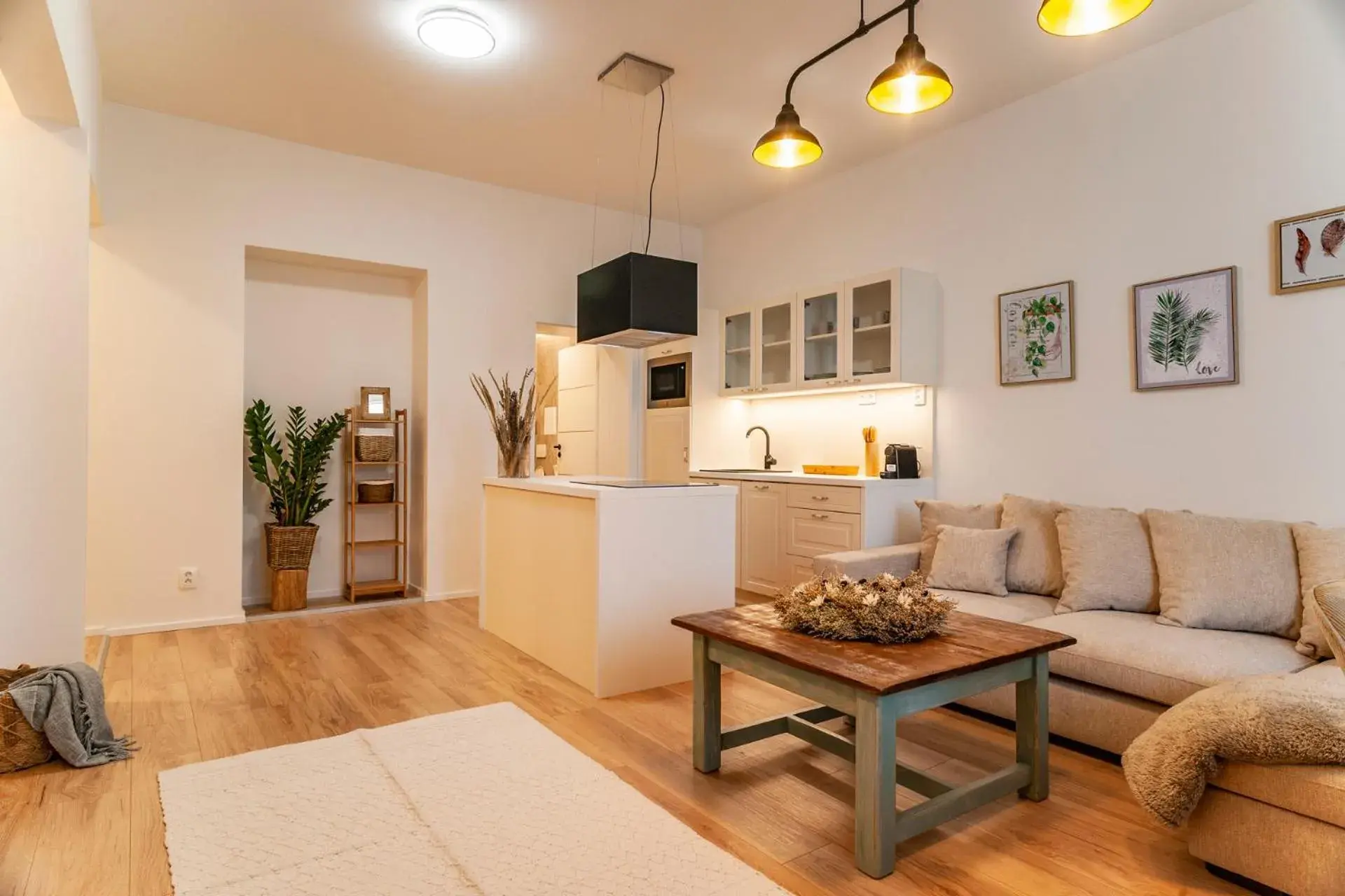 Large Double Room - single occupancy in STING Boutique Apartments Large Double Room - single occupancy in STING Boutique Apartments