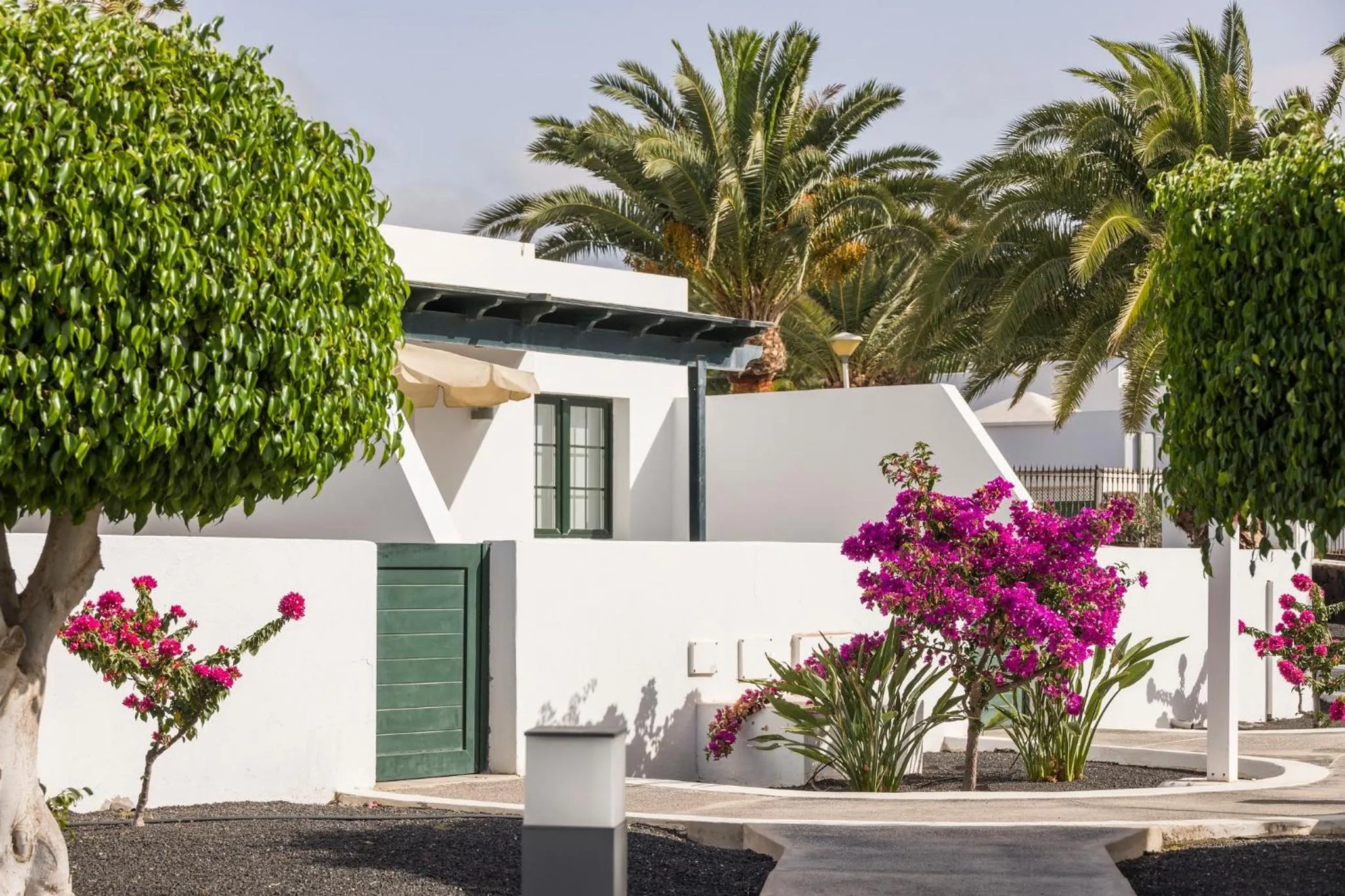 Garden view in ILUNION Costa Sal Lanzarote