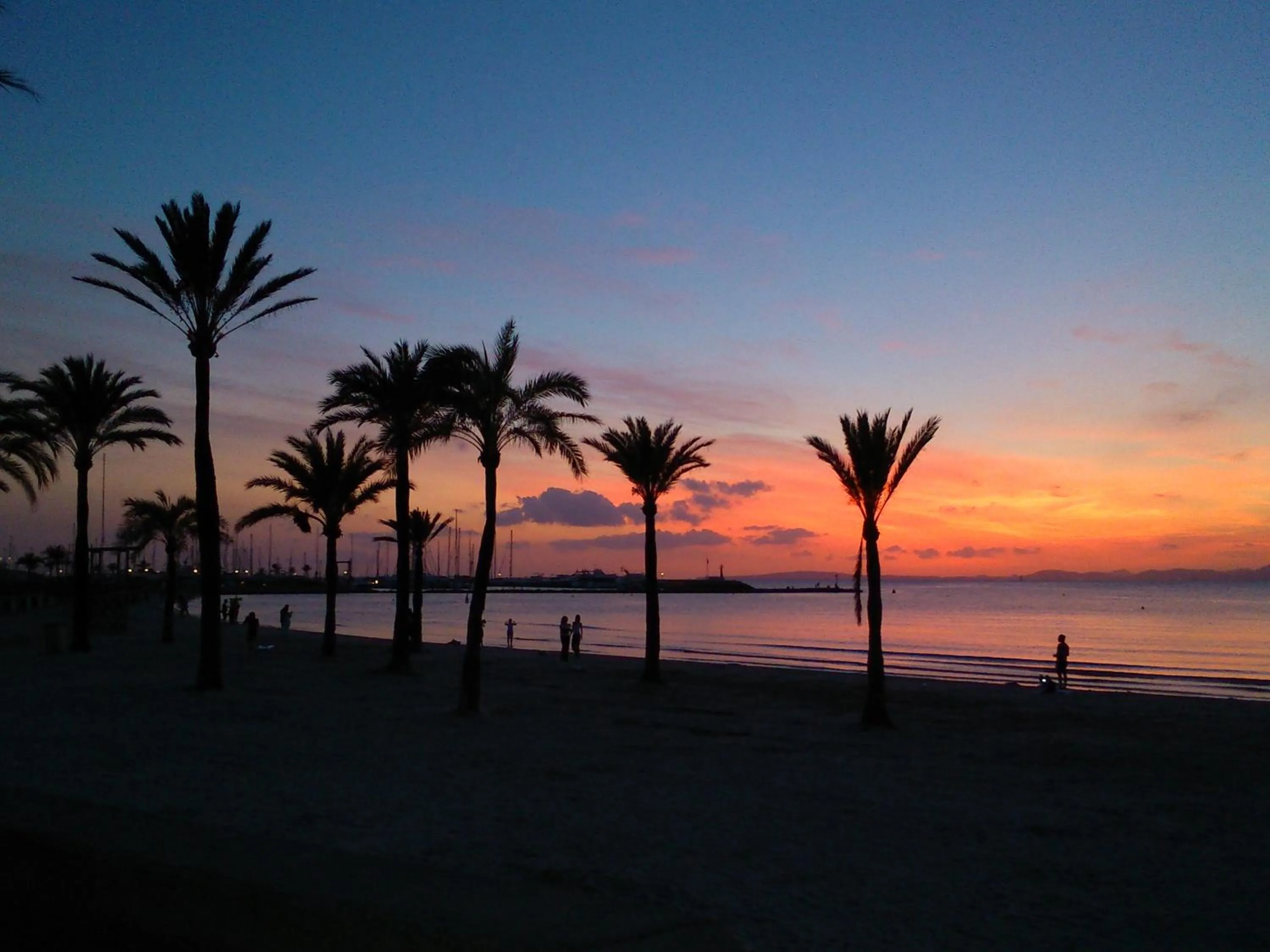 Nearby landmark in Hotel Manaus