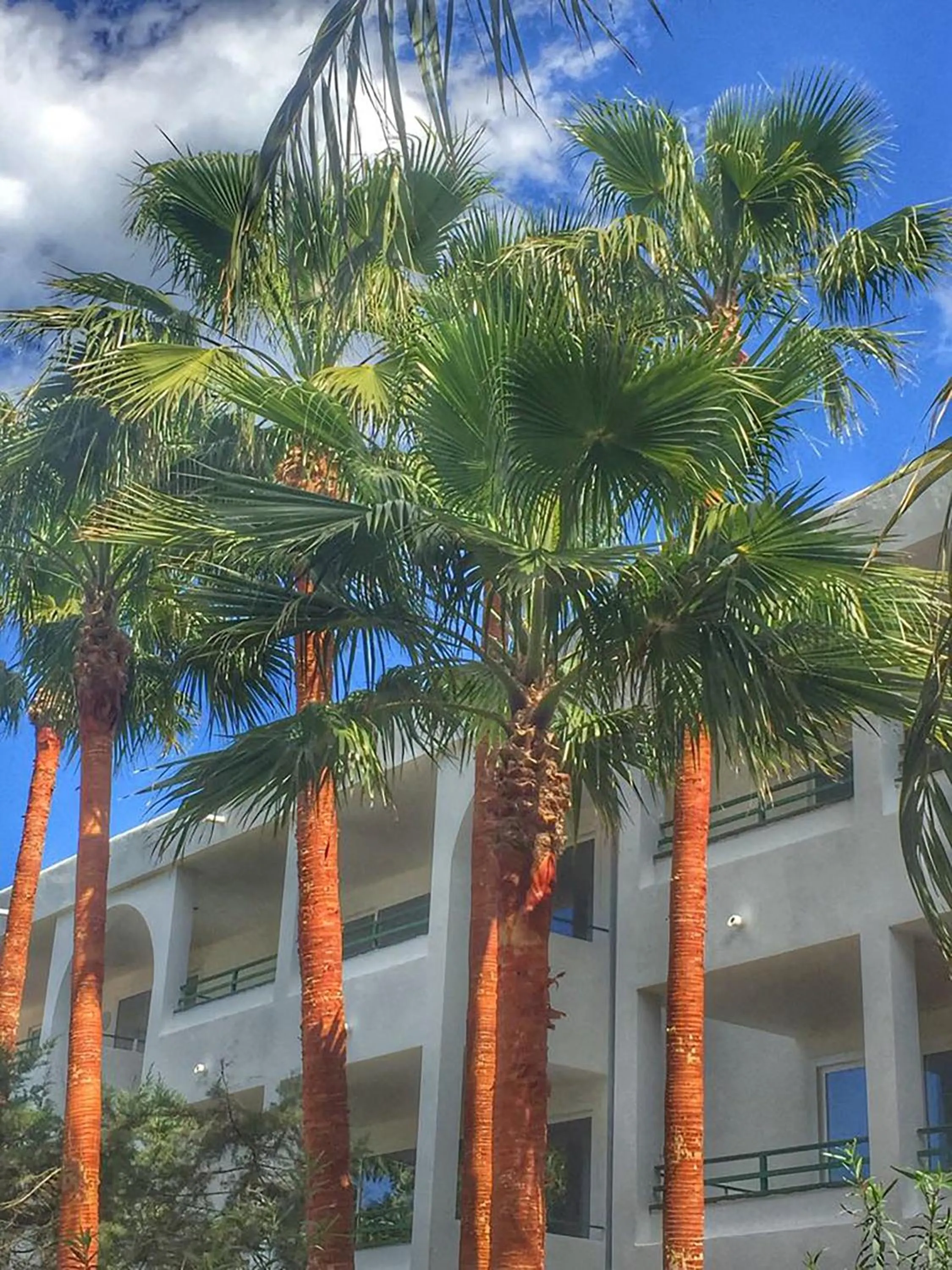 Off site in Mallorca Cecilia