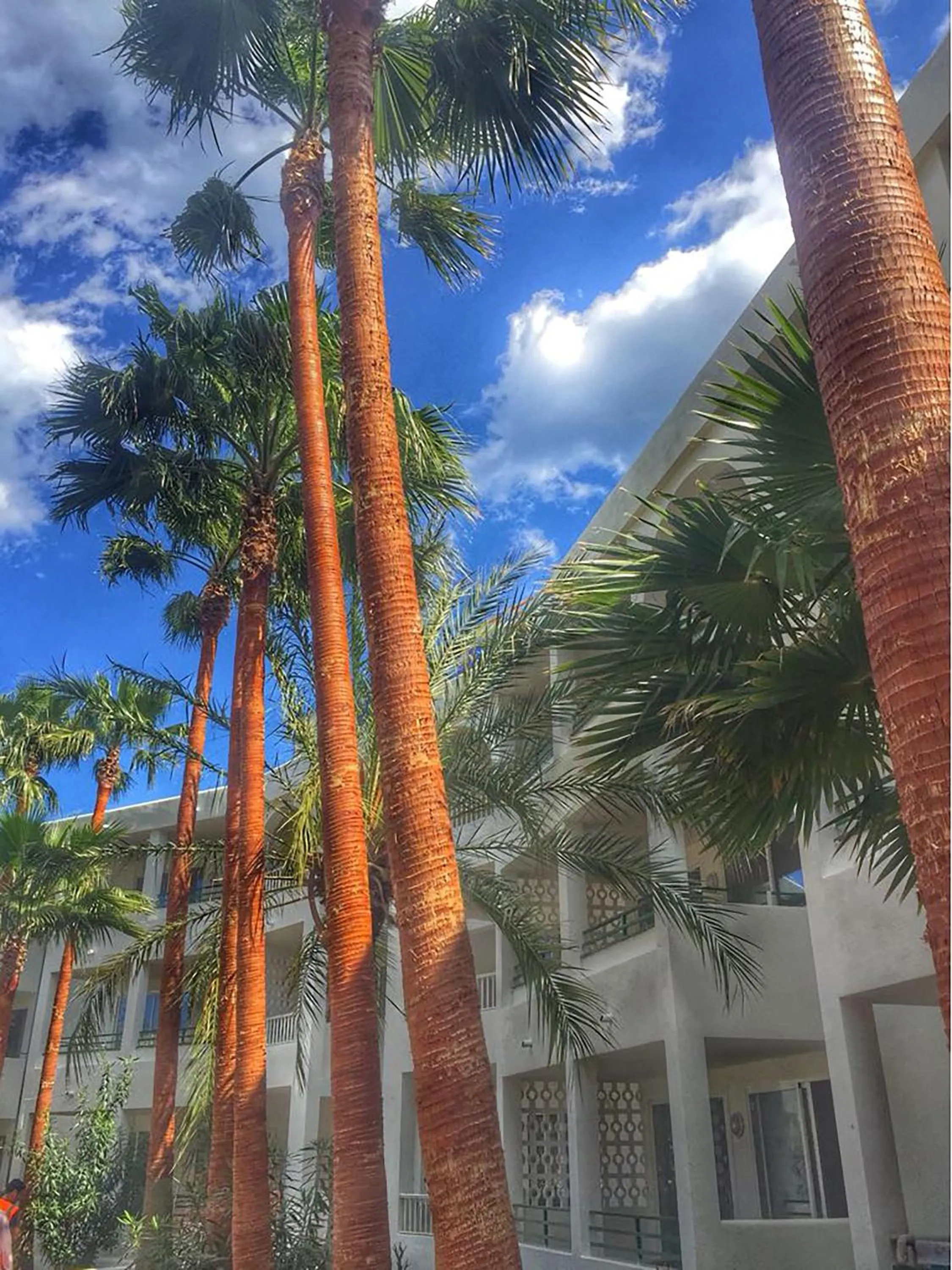 Other in Mallorca Cecilia