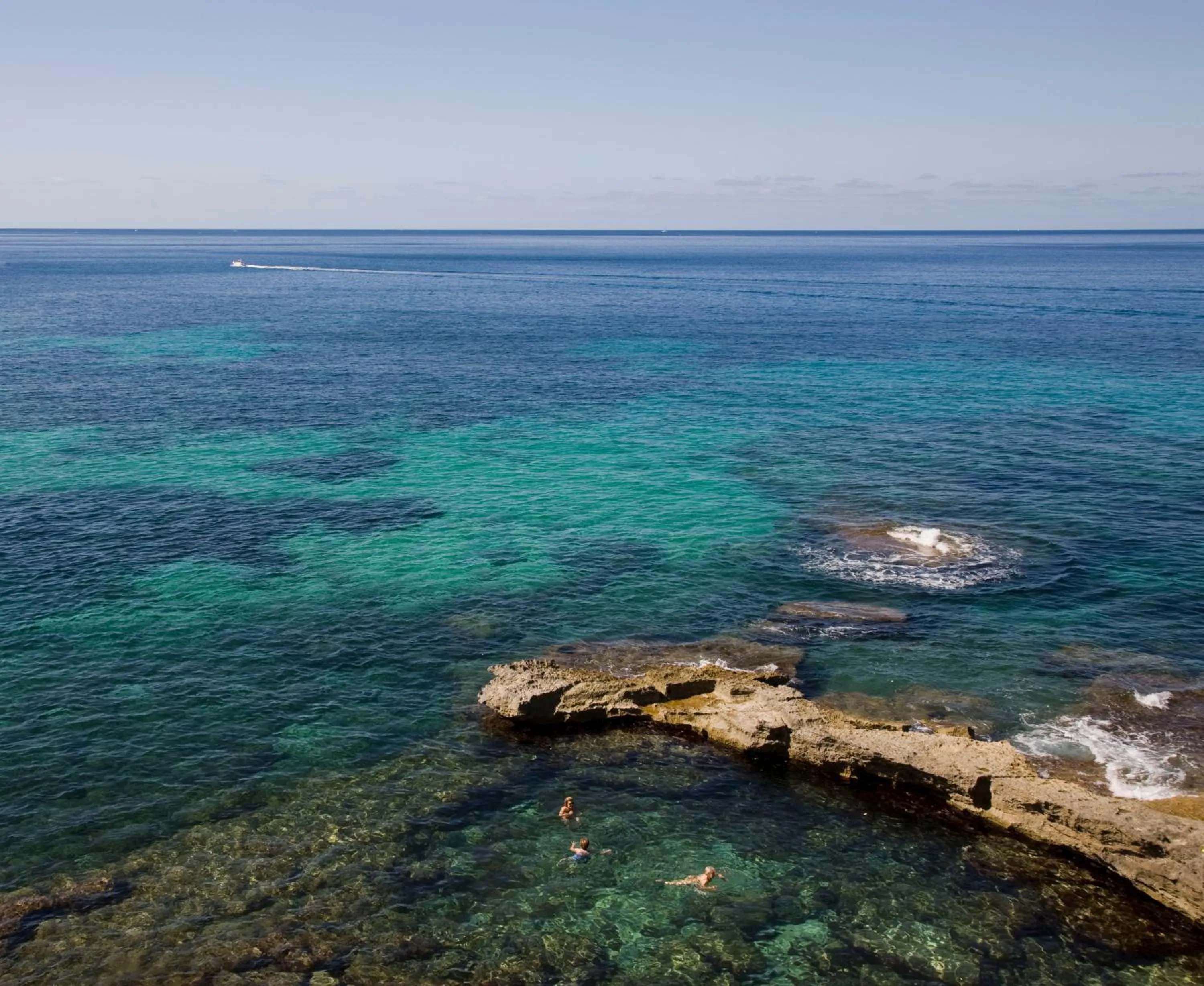 Day in Globales Maioris