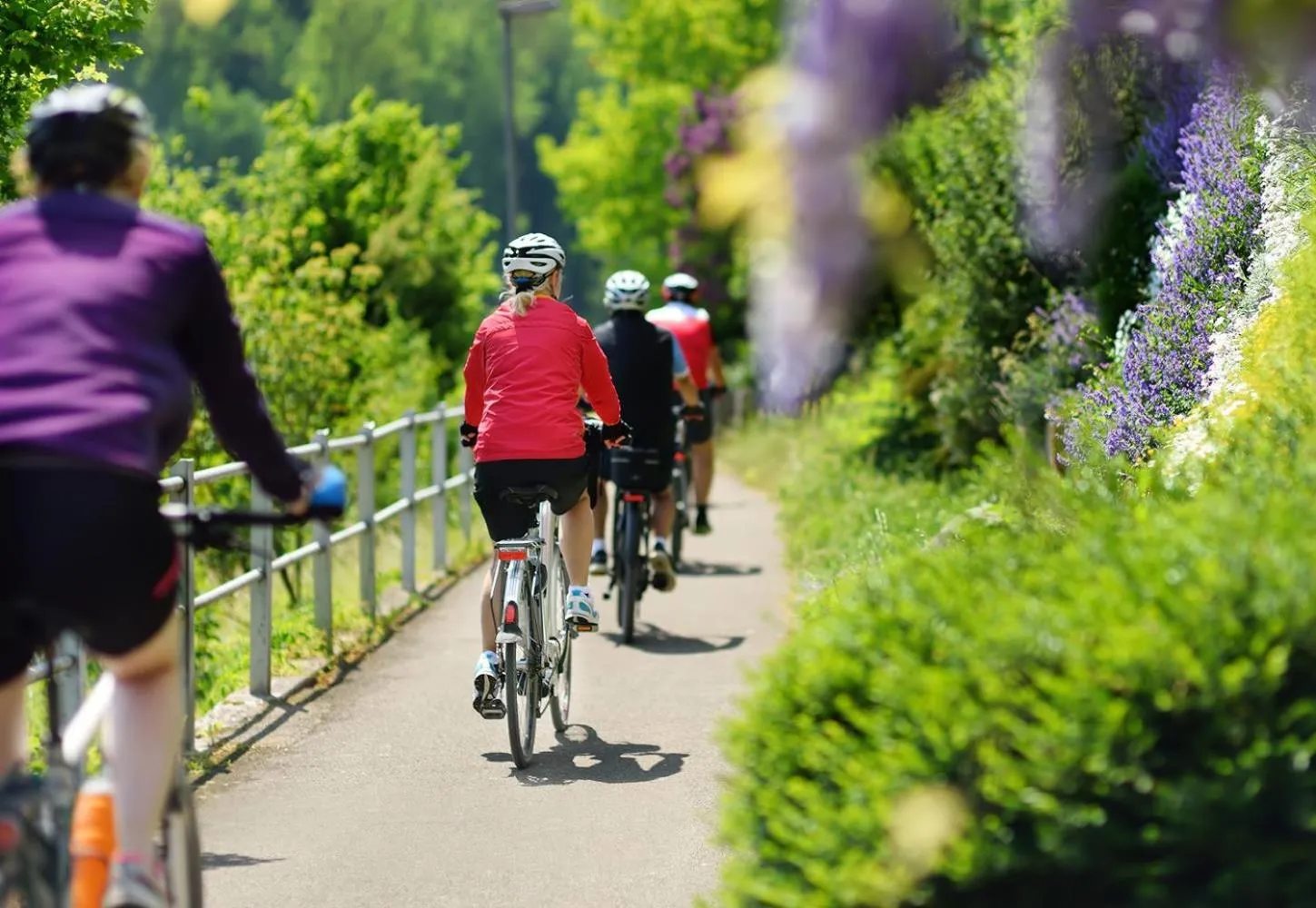 Activities in Smy Portocolom - Renovated 2026