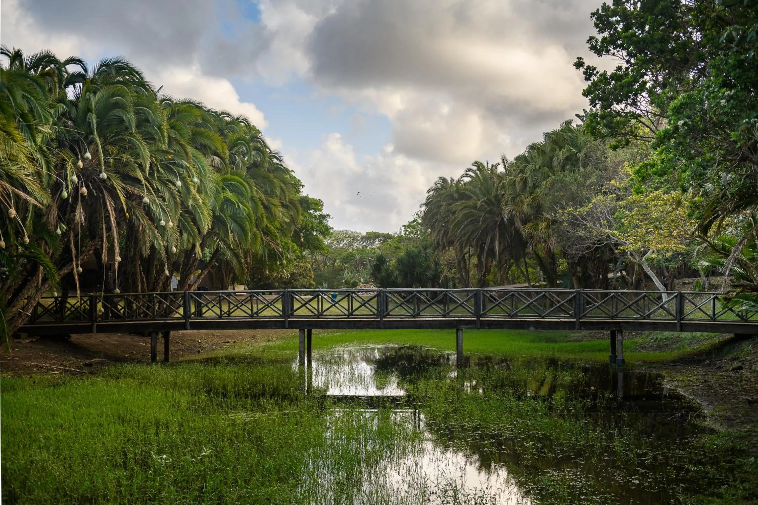 Natural landscape in Sugar Beach Resort
