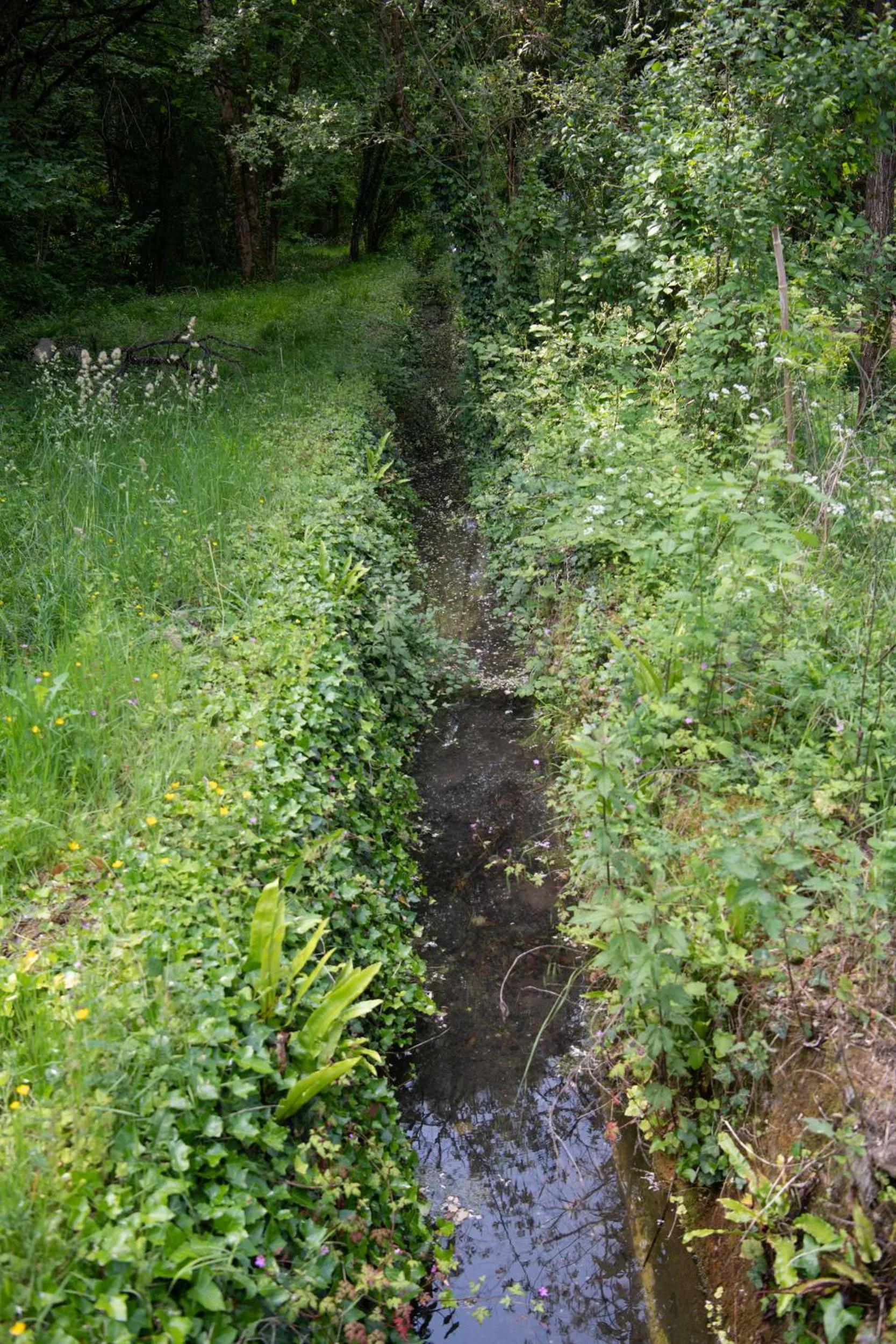 Property building in Le Moulin du Porteil
