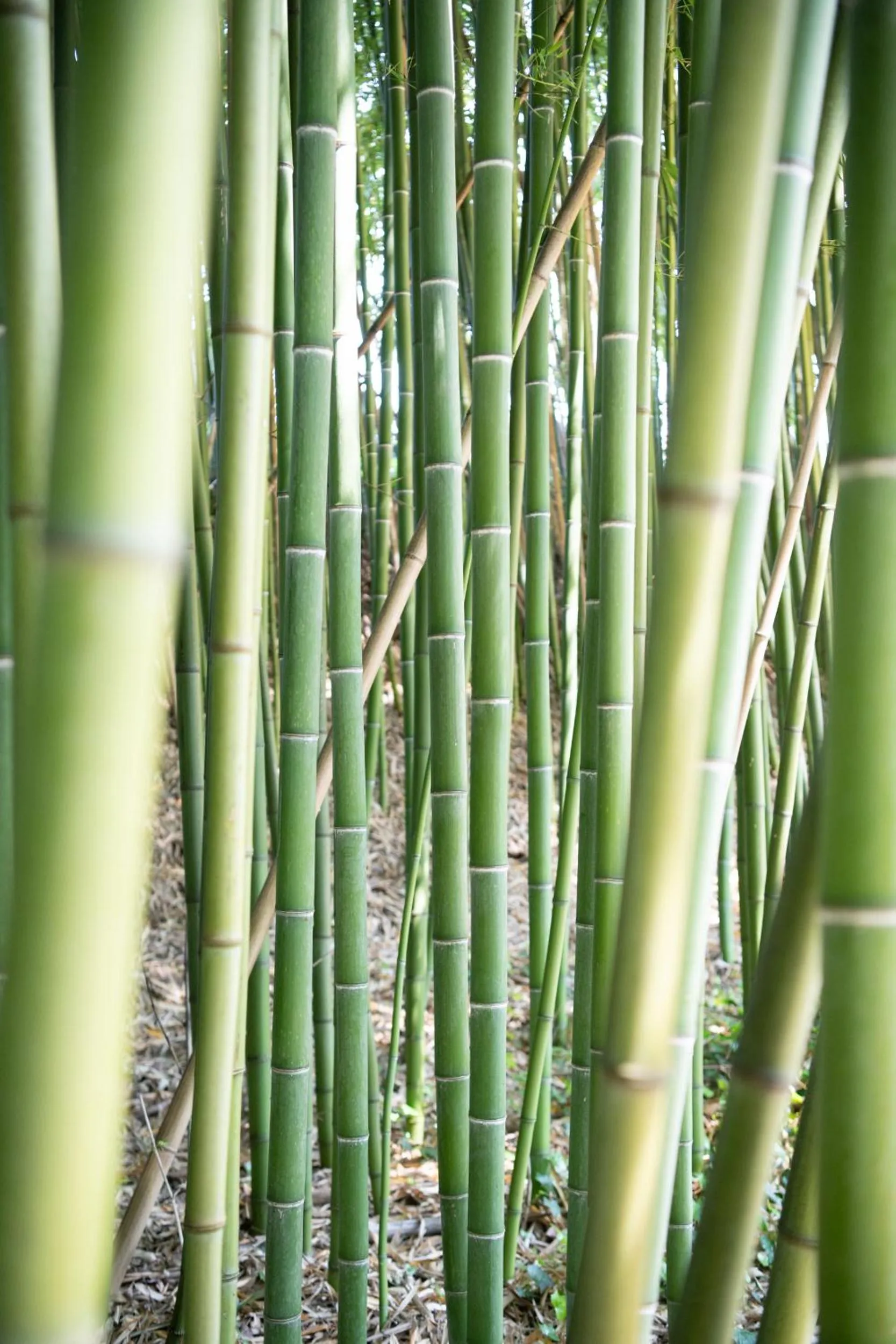Natural landscape in Le Moulin du Porteil