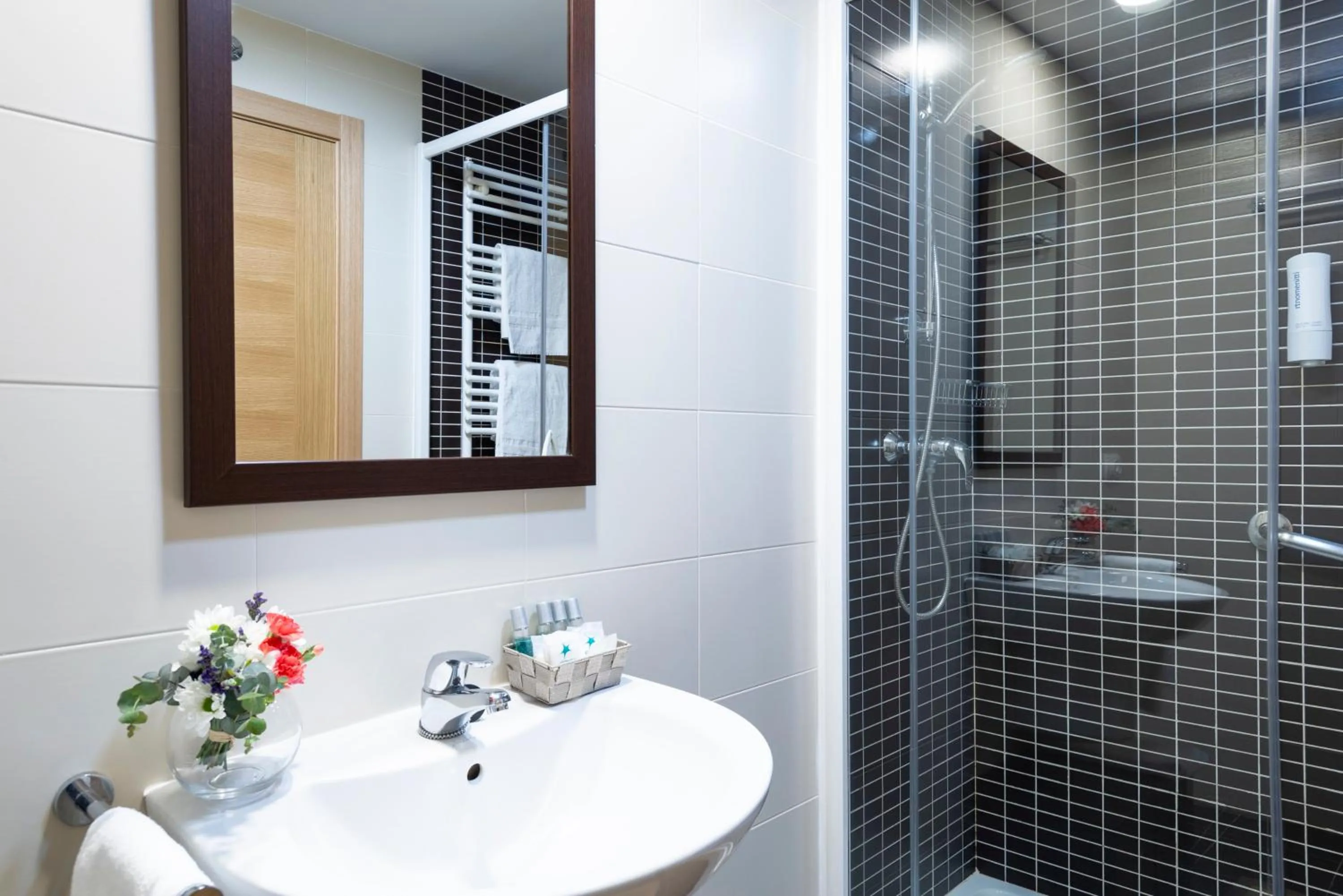 Bathroom in Apartamentos Turísticos Real Valle Ezcaray