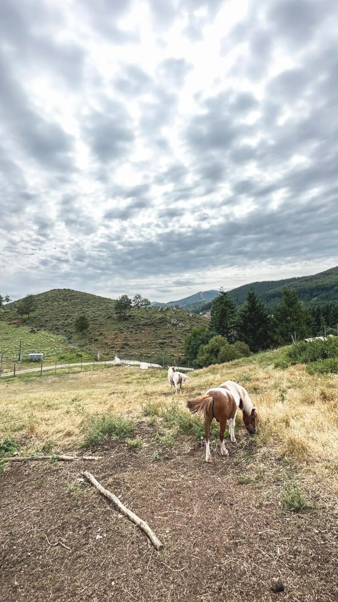 Apartamentos Turísticos Real Valle Ezcaray